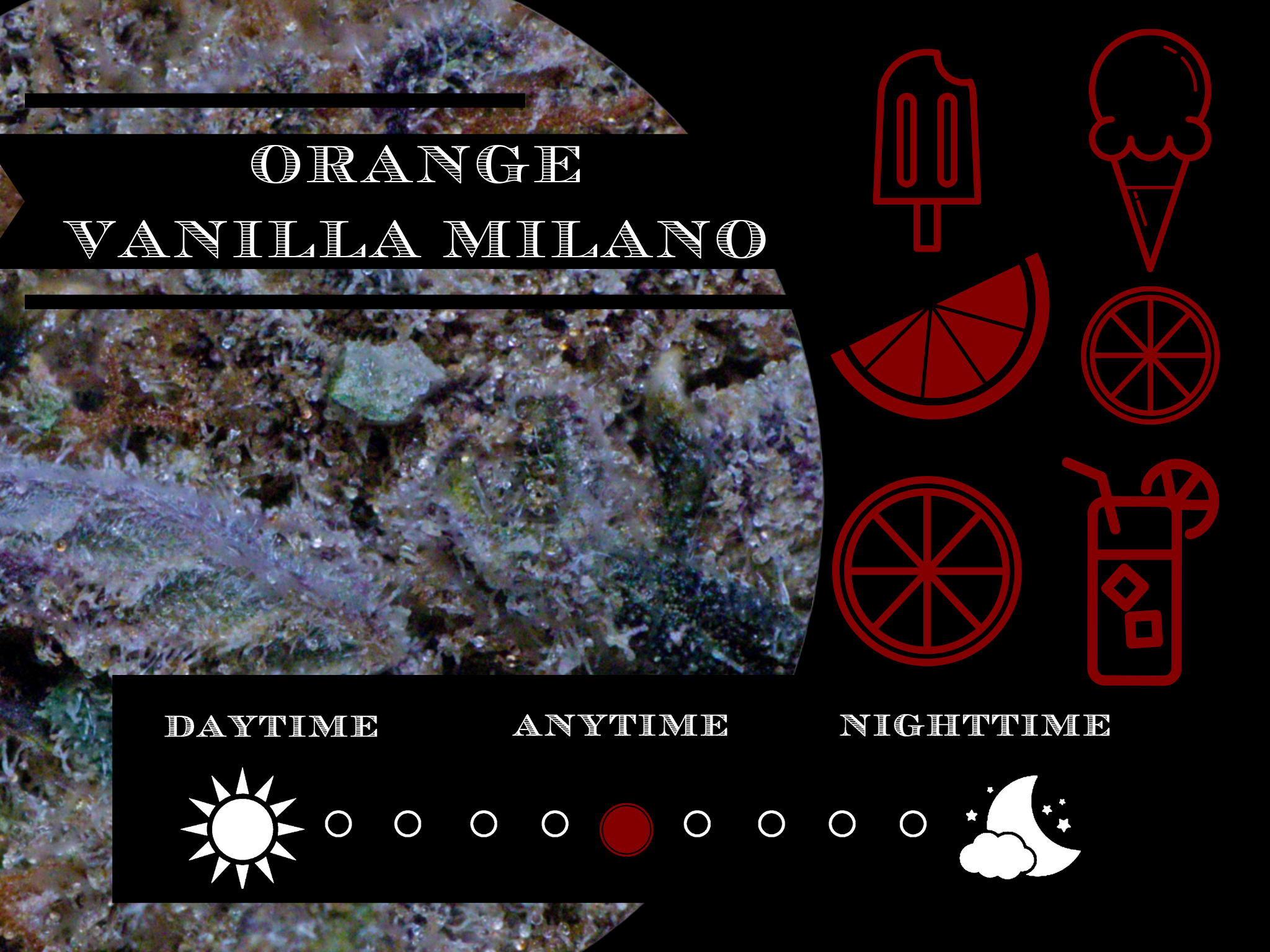 Orange Vanilla Milano 28.6% view 2