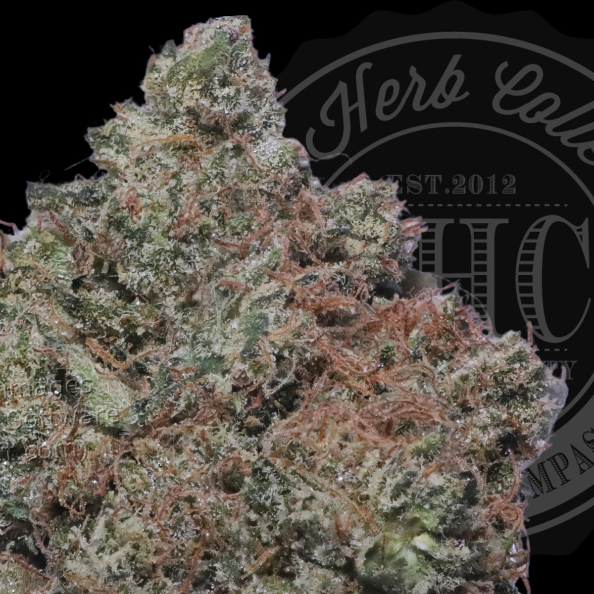 Billy Kimber OG 36.3%