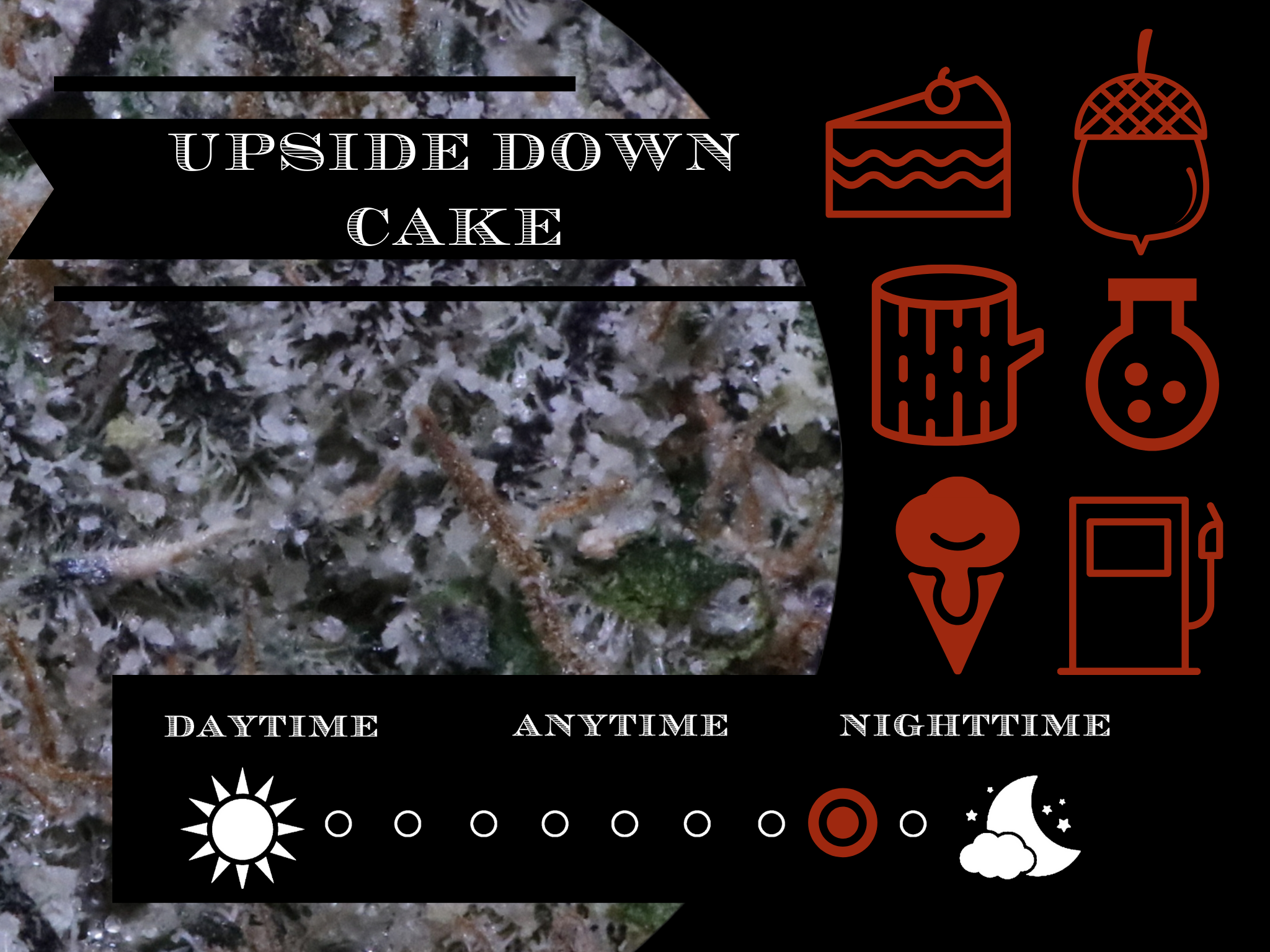 Upside Down Cake 27.8% view 2
