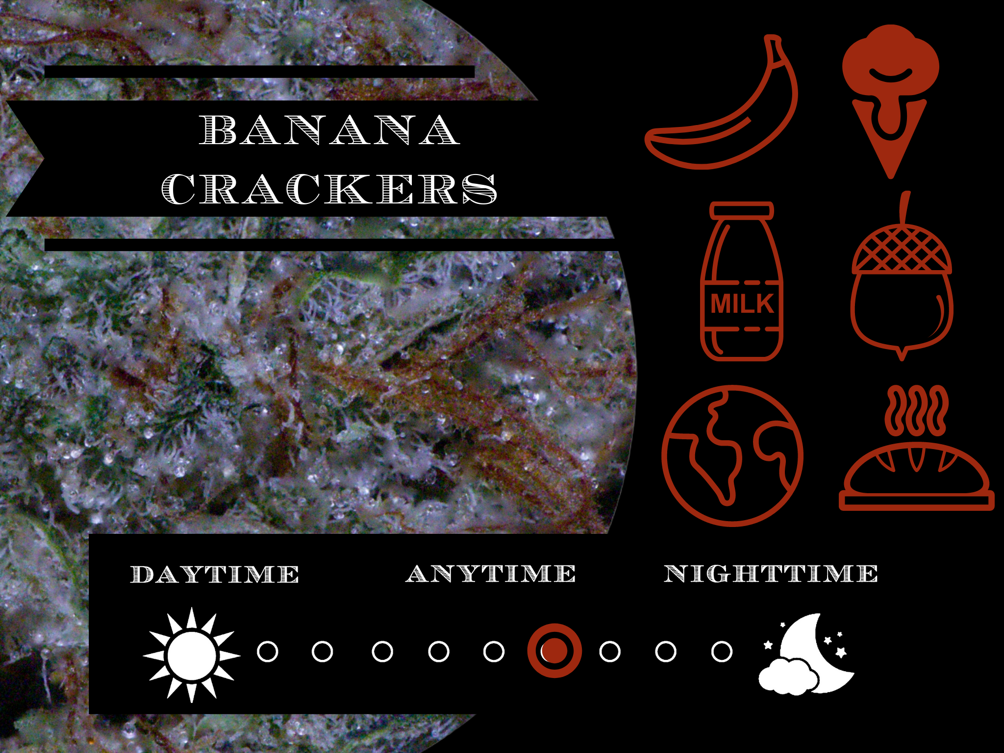 Banana Crackers 28.2% view 2