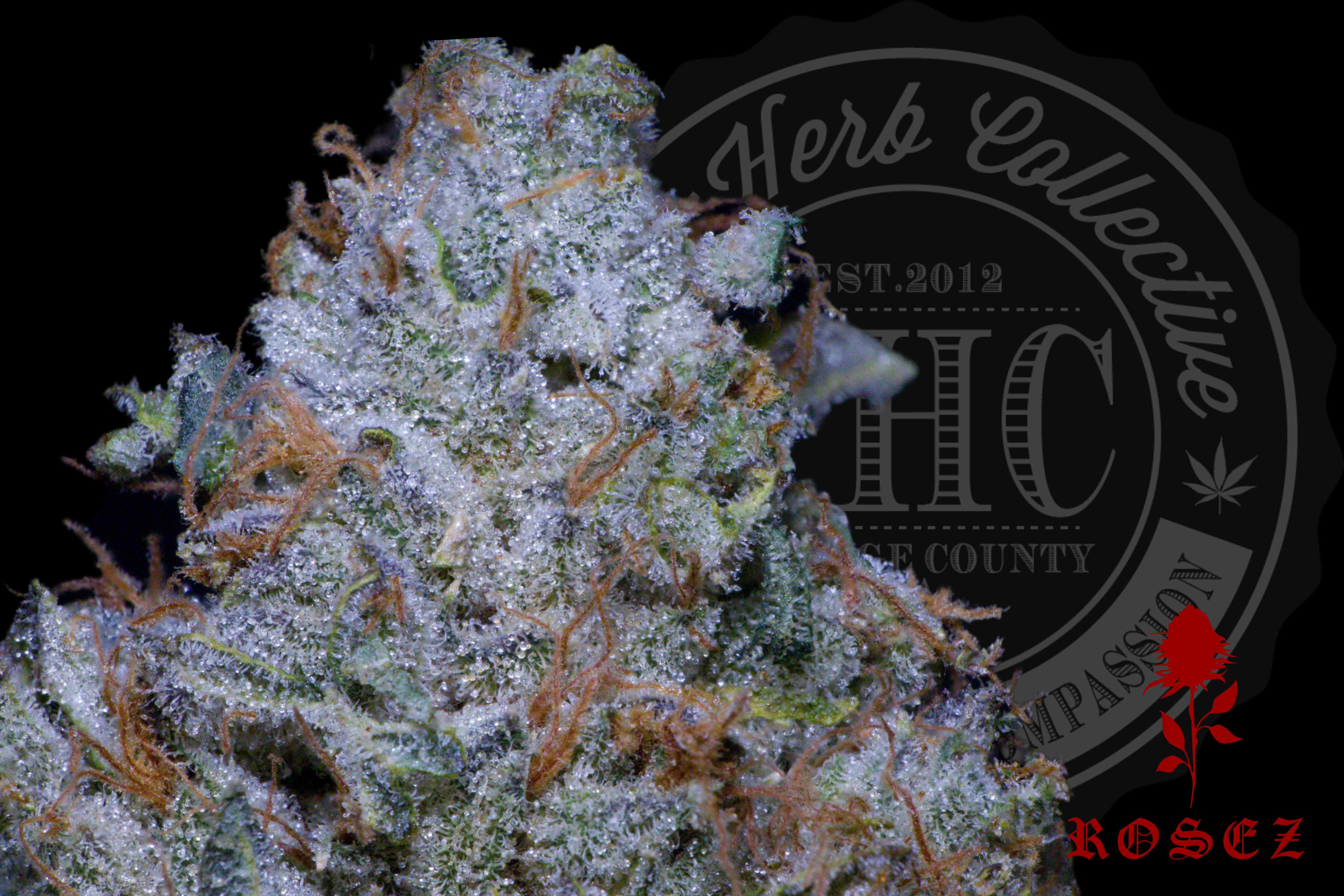 White Walker OG 27.2%