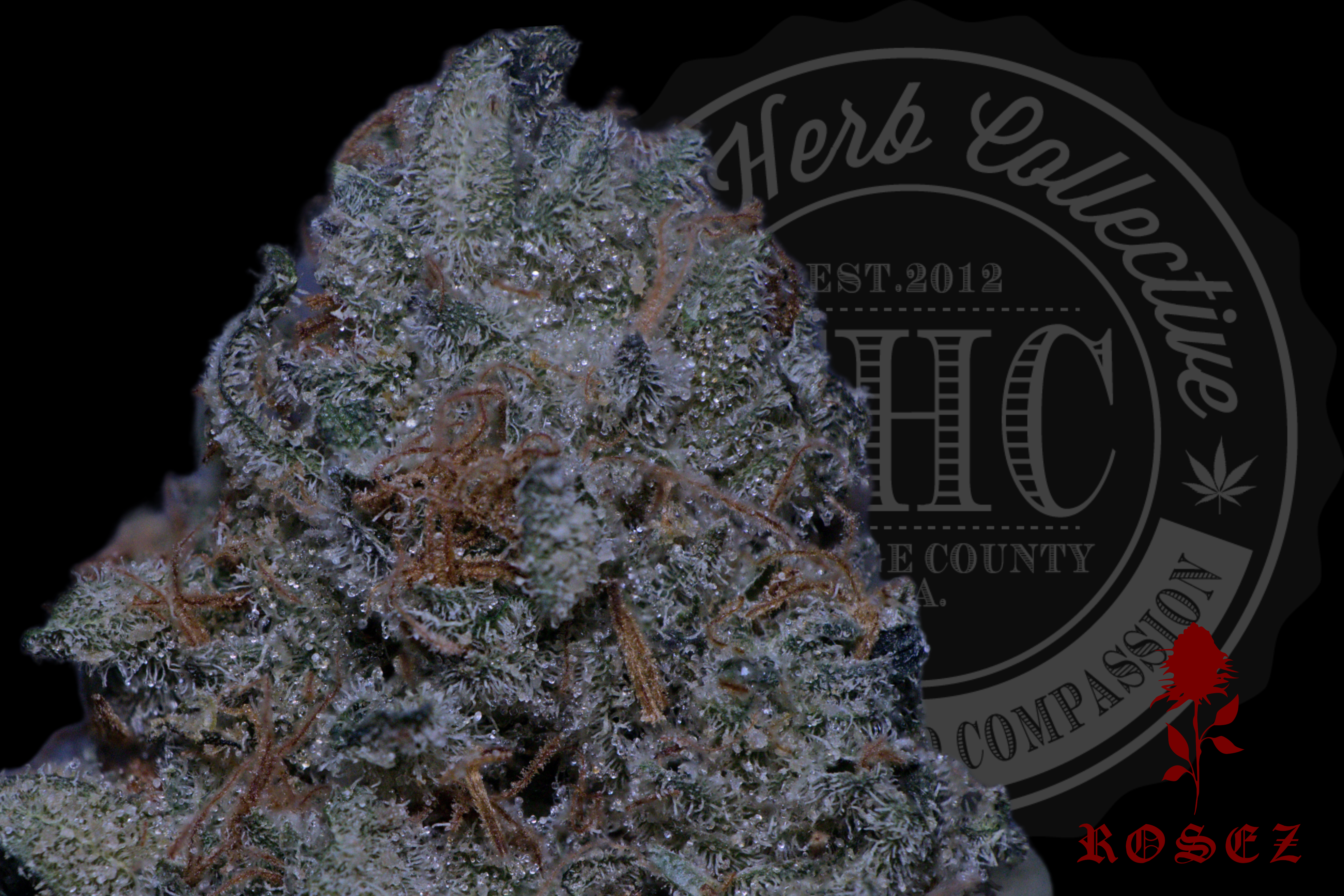 Northern Lights Kush 28.6%