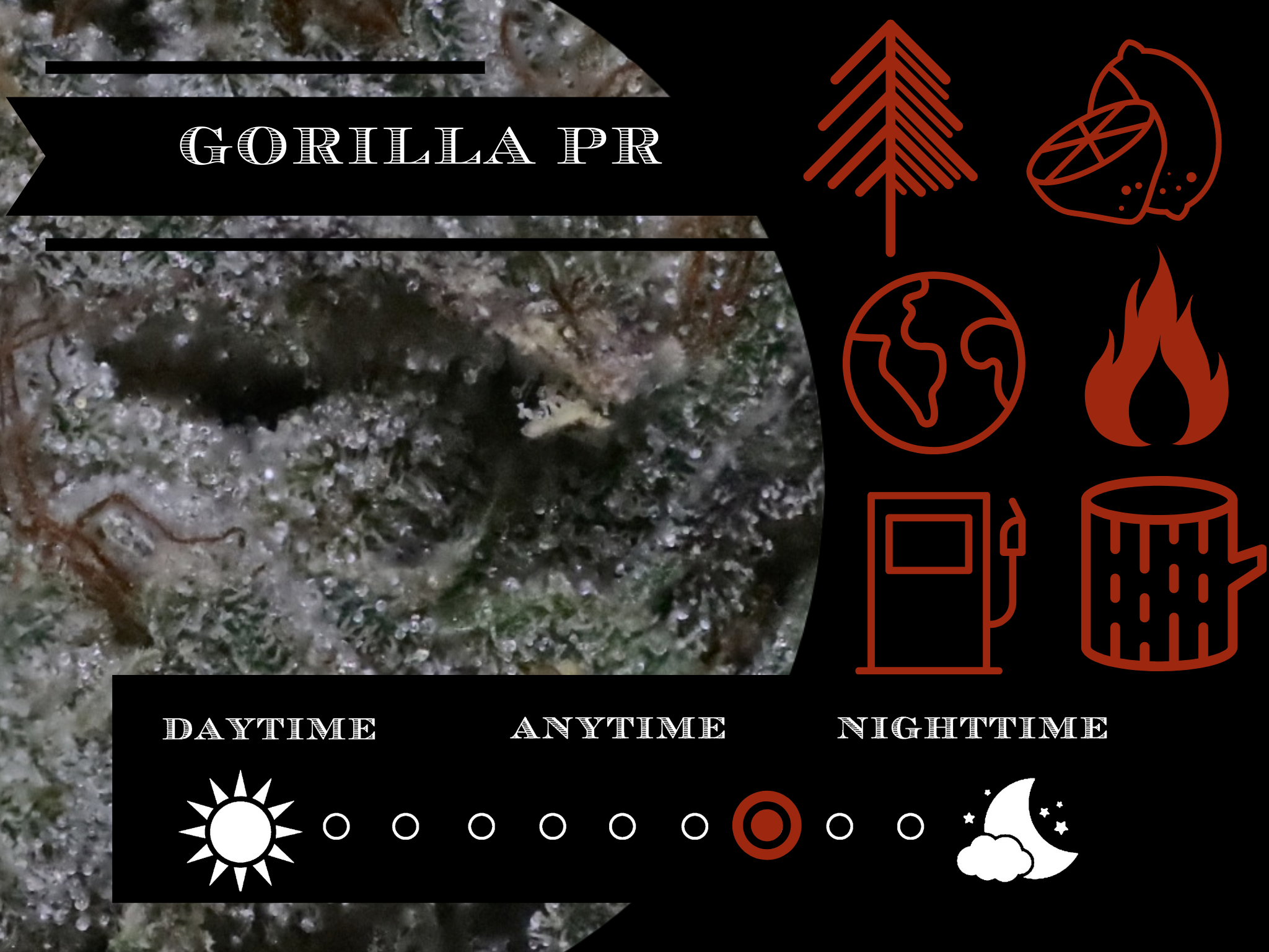 Gorilla Private's 26.8% view 2