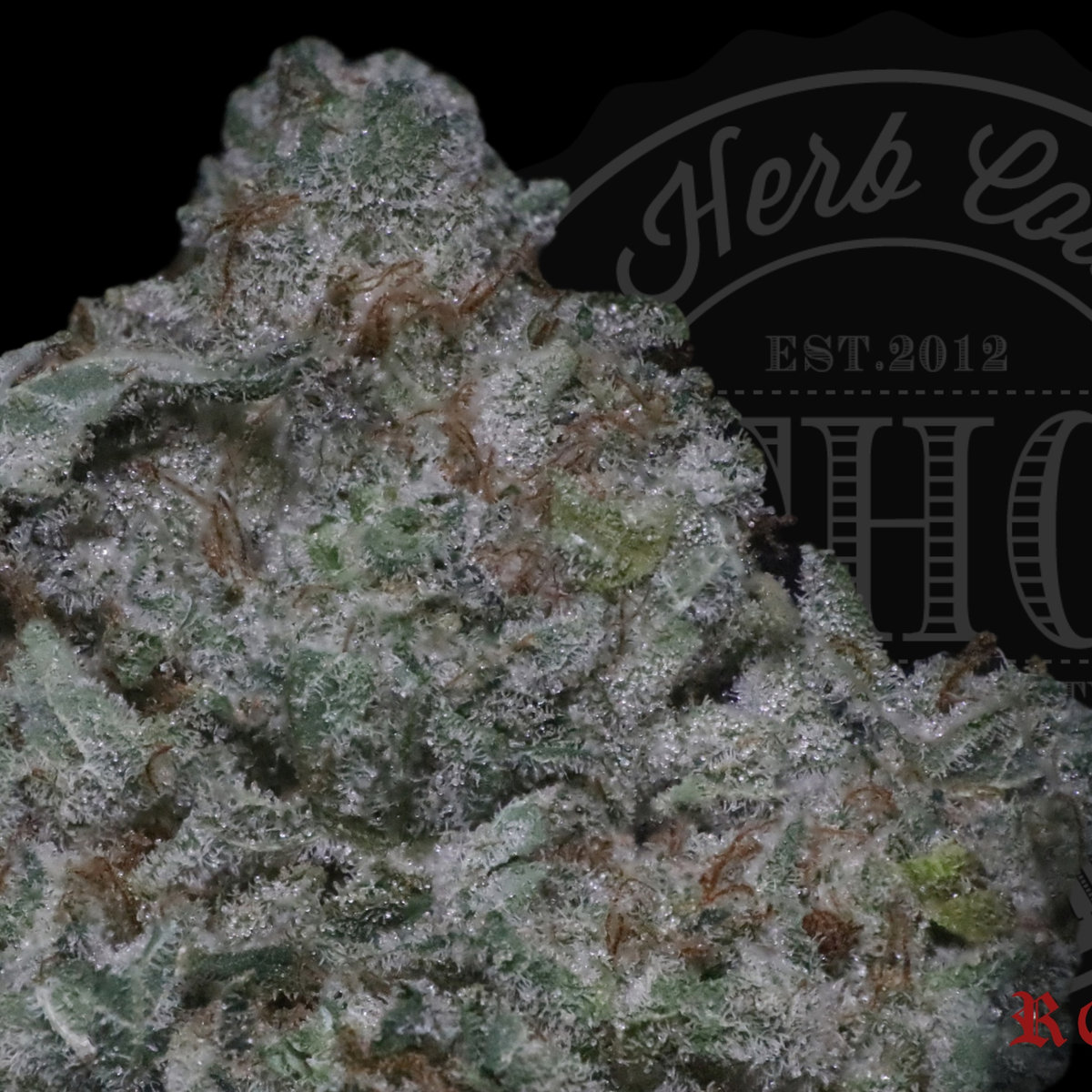 Northern OG 27.2%
