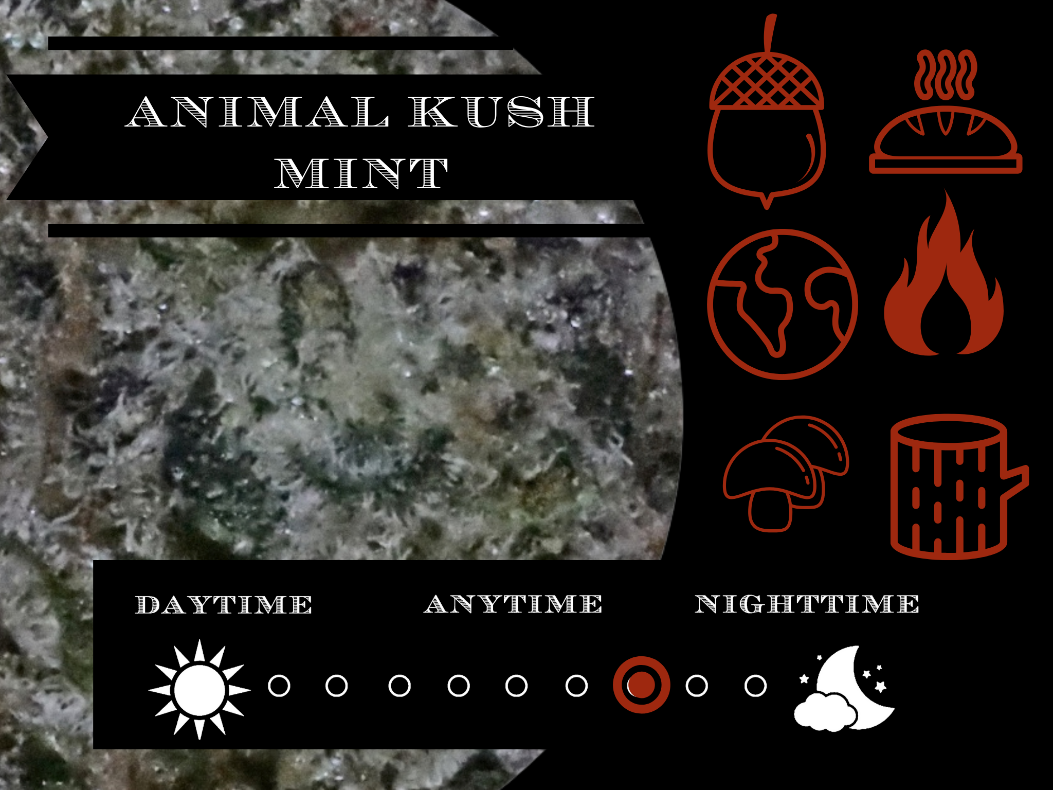 Animal Kush Mints 27.2% view 2
