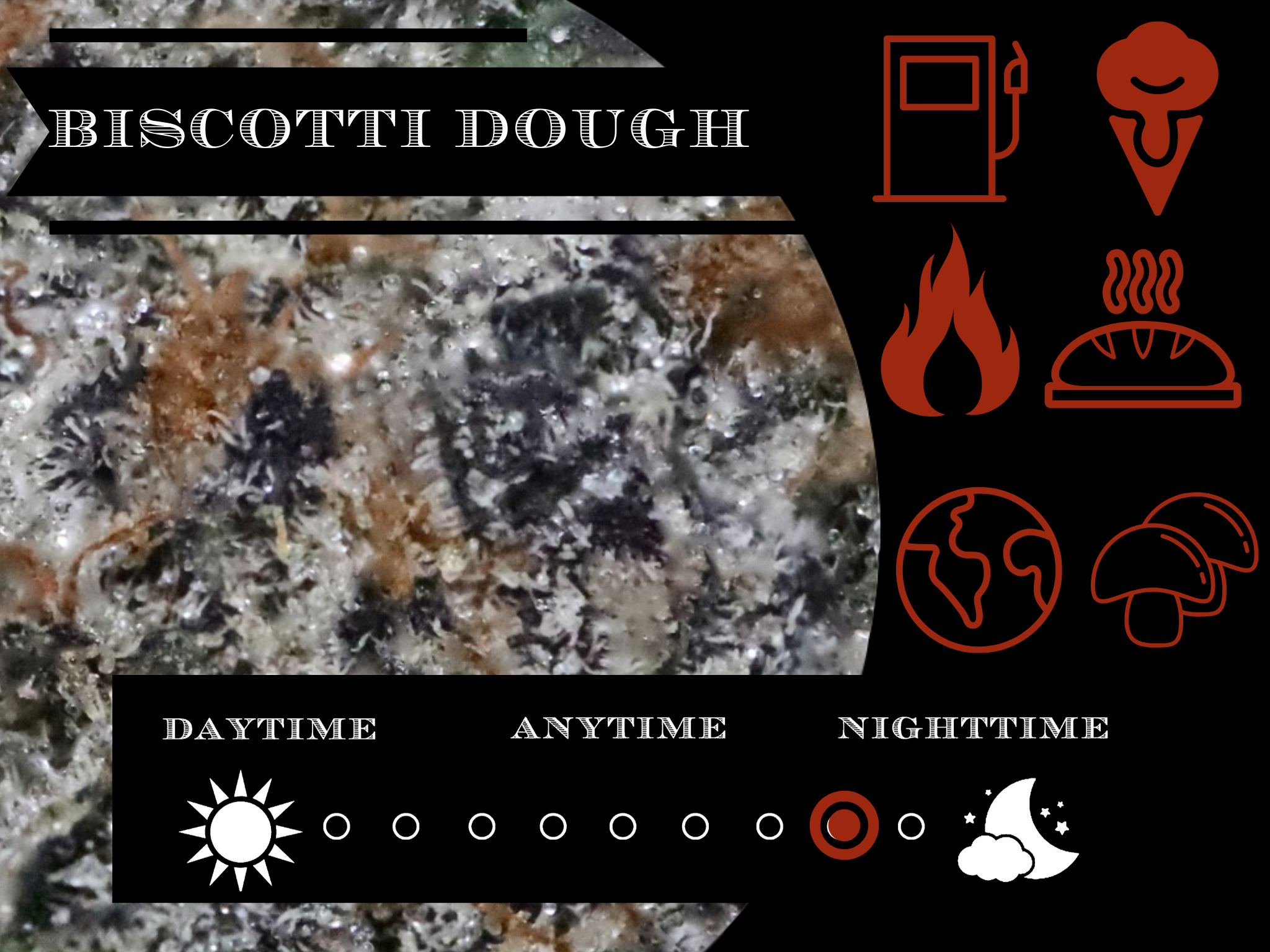 Biscotti Dough 28.2% view 2