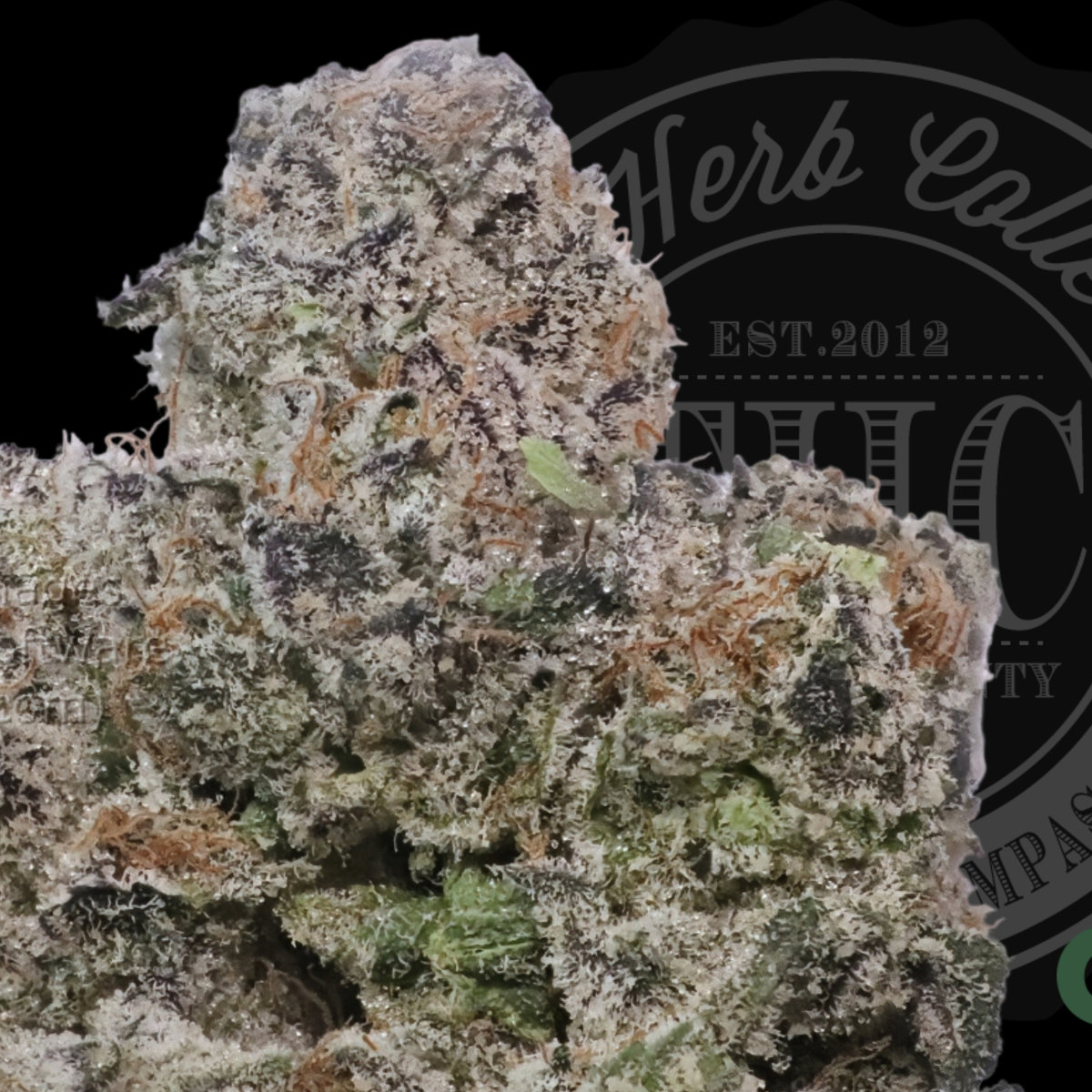 Kush Milk 32.8%