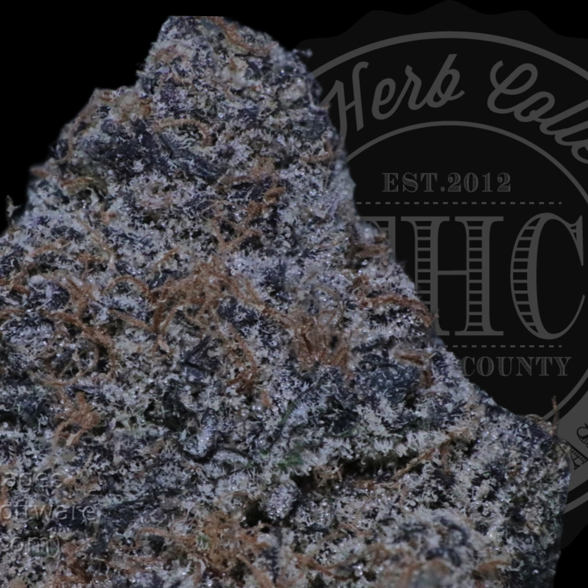 Blue Guava Gelato 32.2%