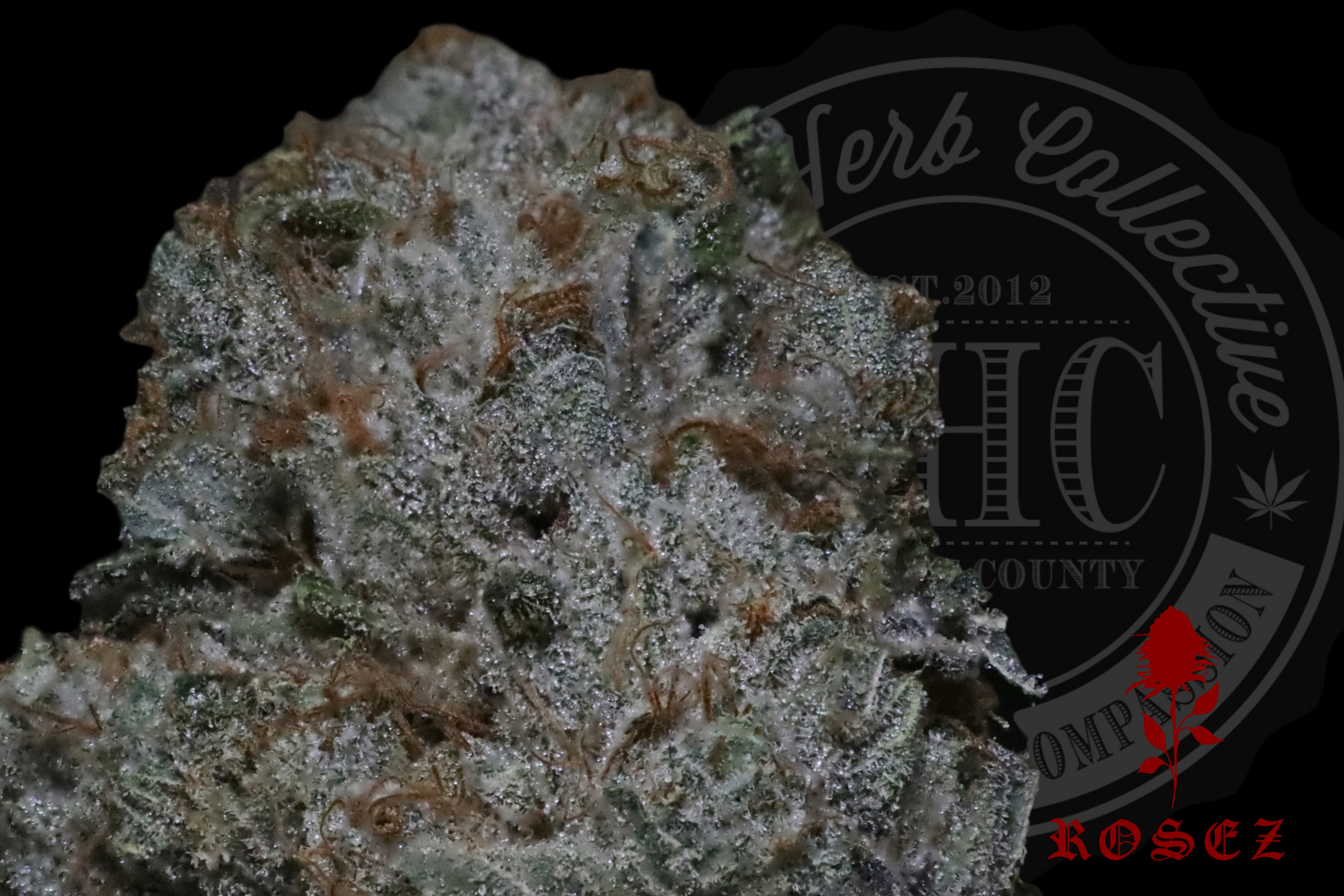 Jet Fuel OG 28.8%