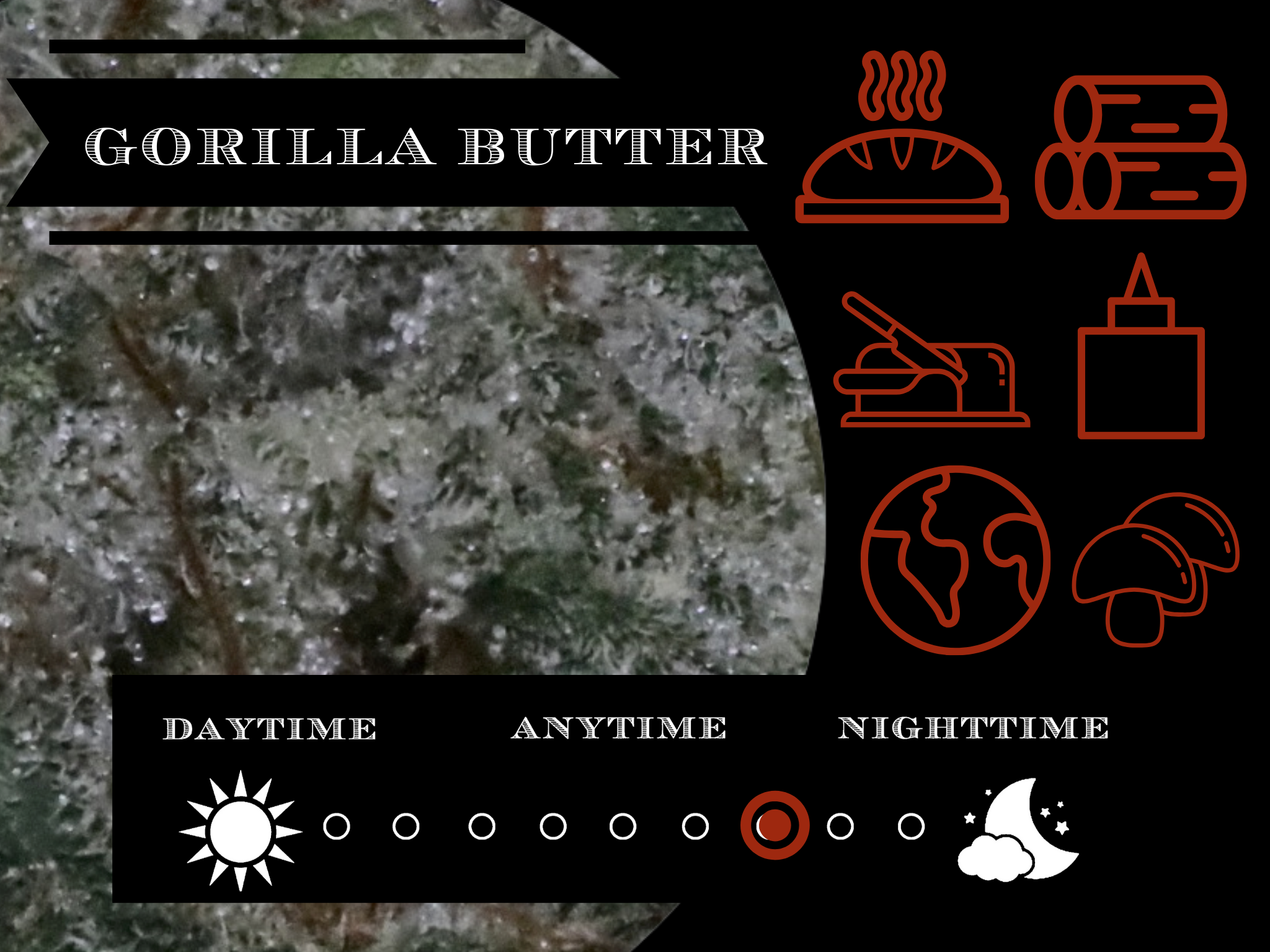 Gorilla Butter 26.6% view 2