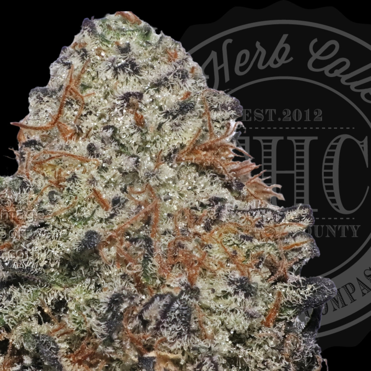 Garlic Diesel Breath 34.8%