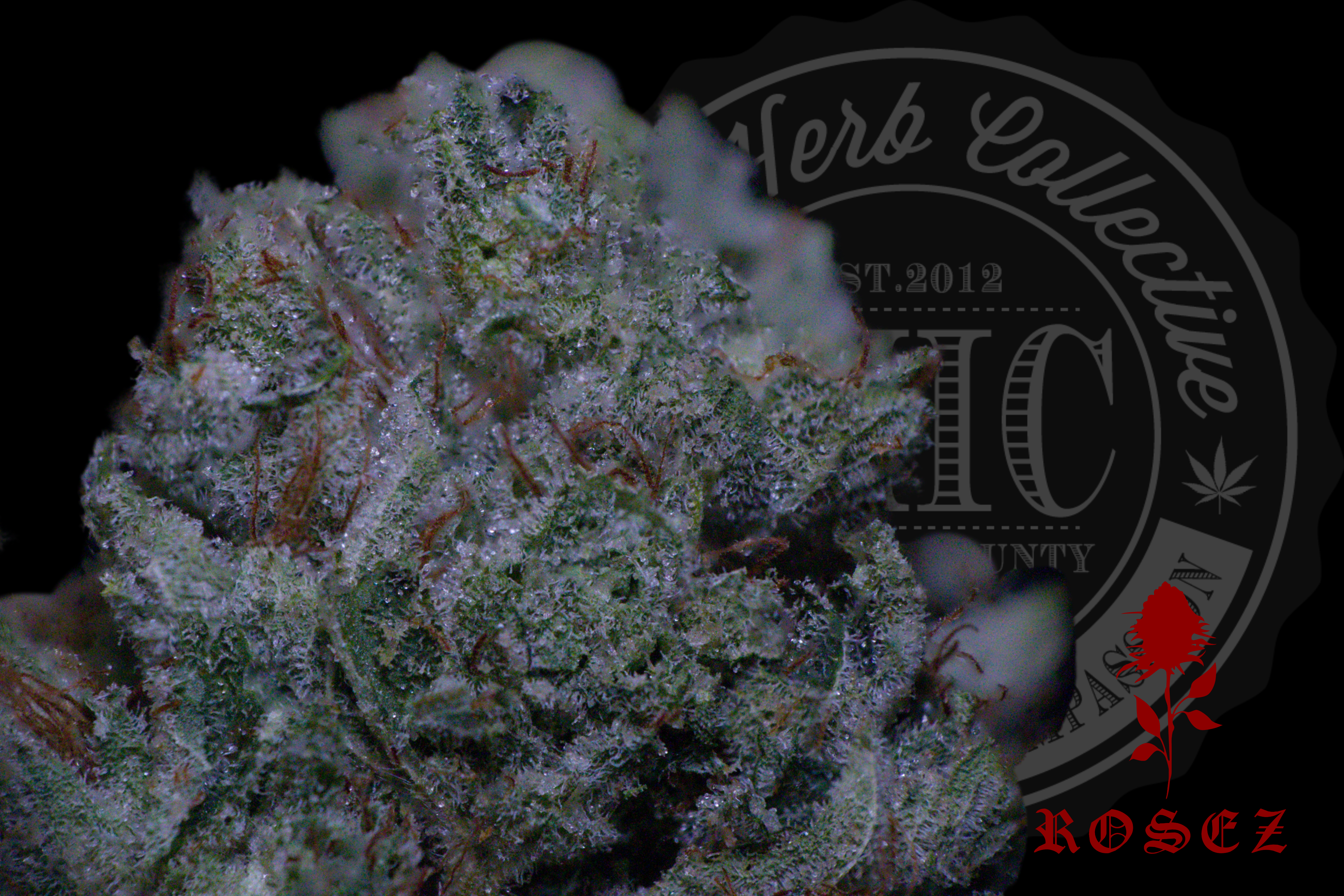 LA Wreck 27.4%
