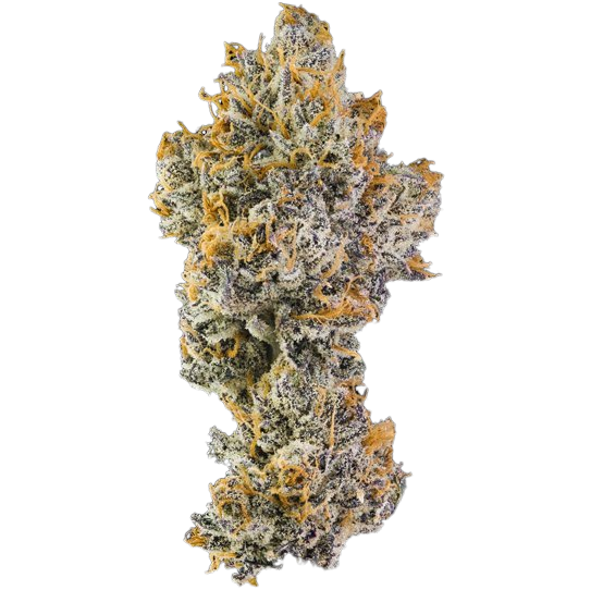 Orange Bellini 33.3% — 3.5 Grams view 2