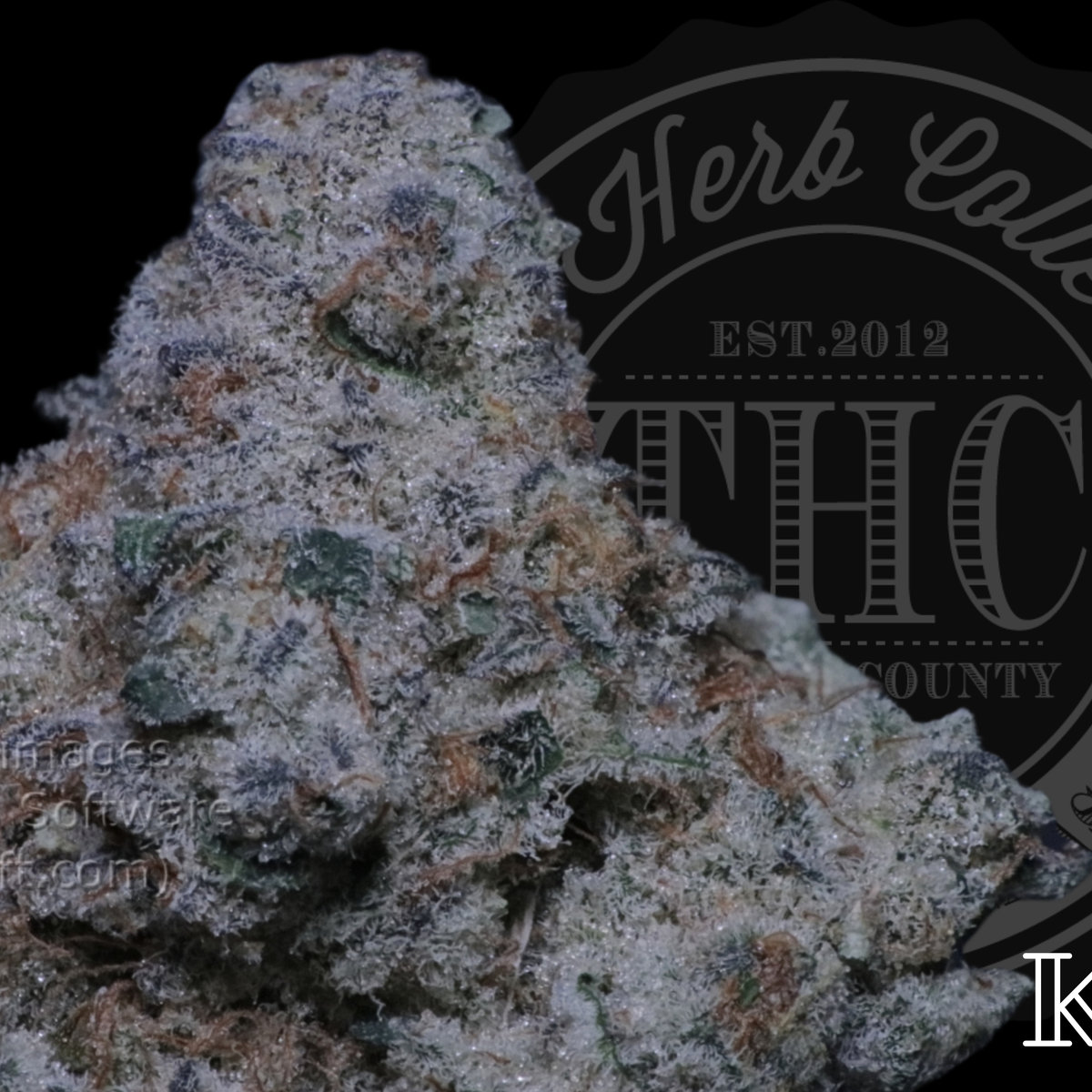GMO X Mac 34.8%