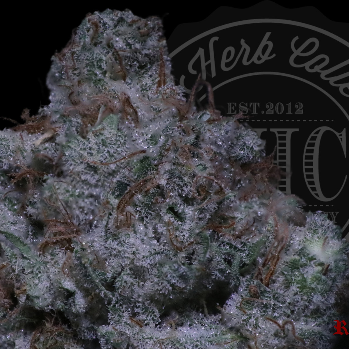 Critical Strawberry 27.2%