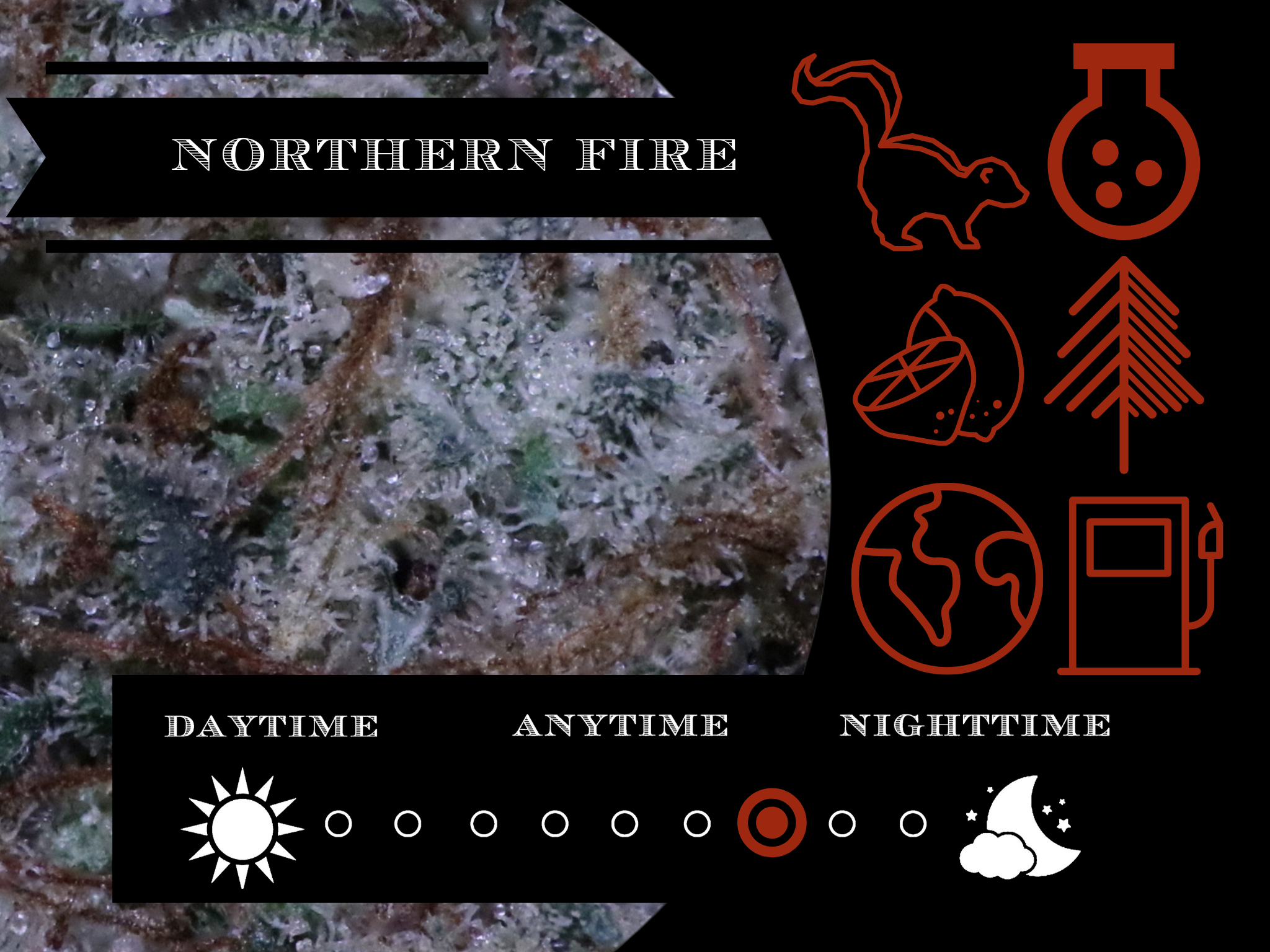 Northern Fire 28.2% view 2