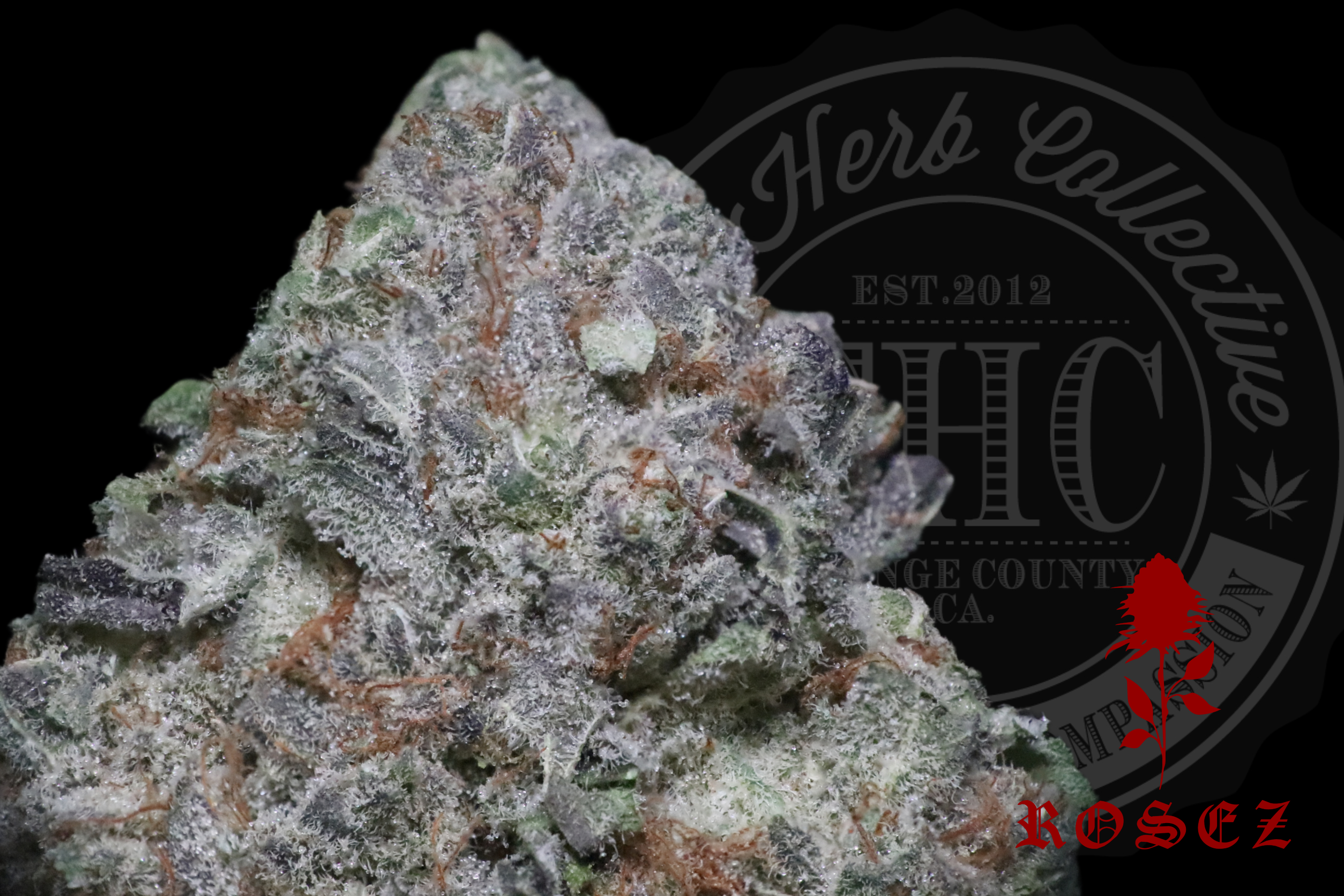 Deadhead Pie