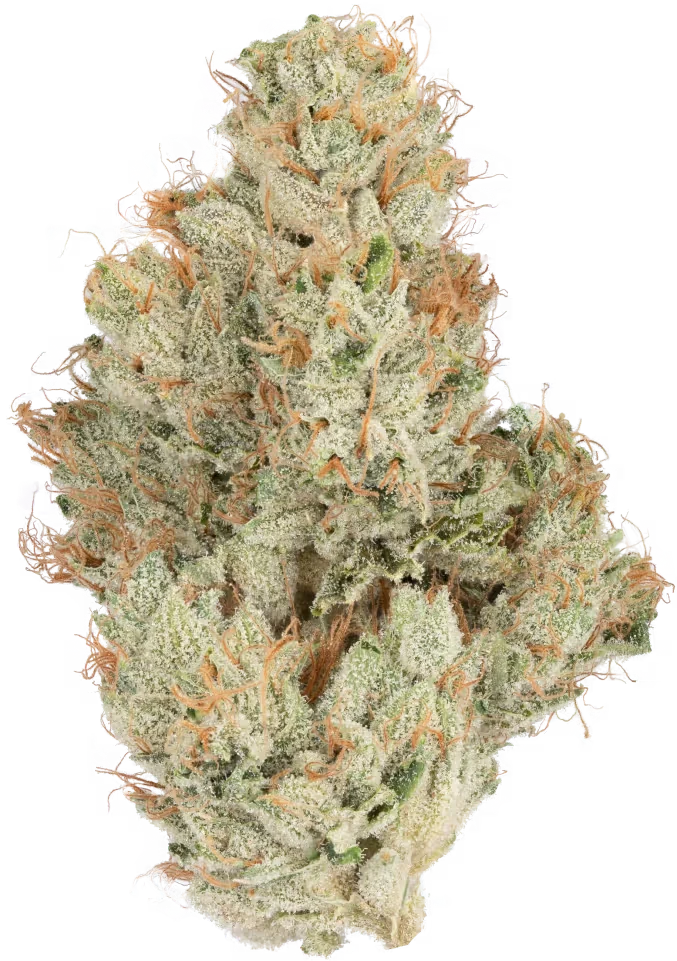 SFV OG 29.8% — 3.5 Grams view 2
