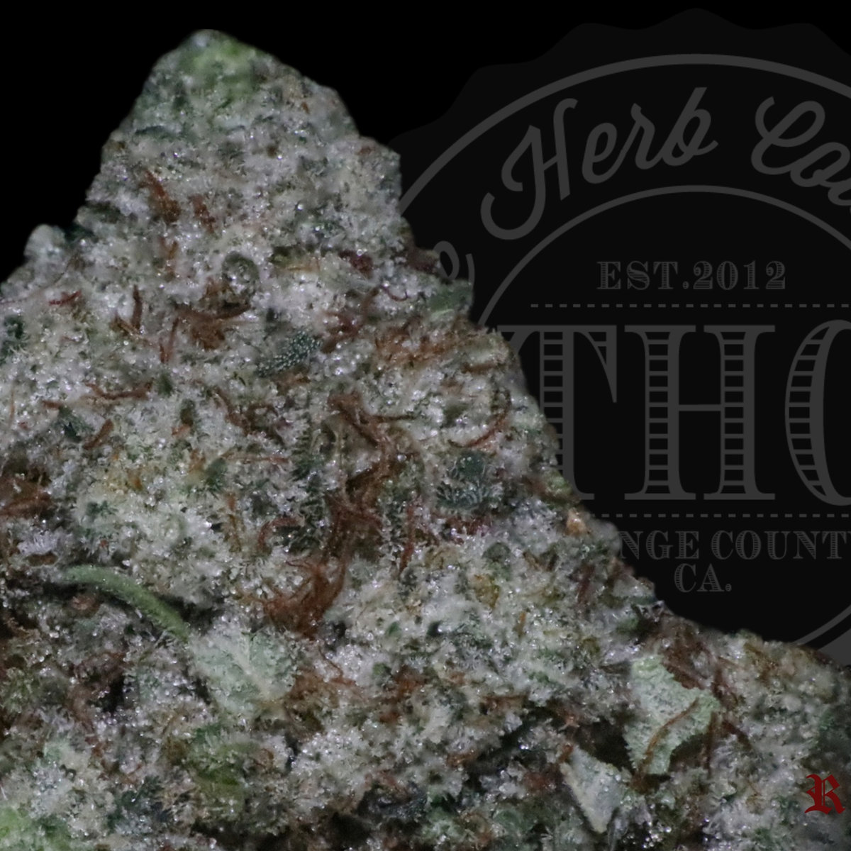 Glue Wreck 27.4%