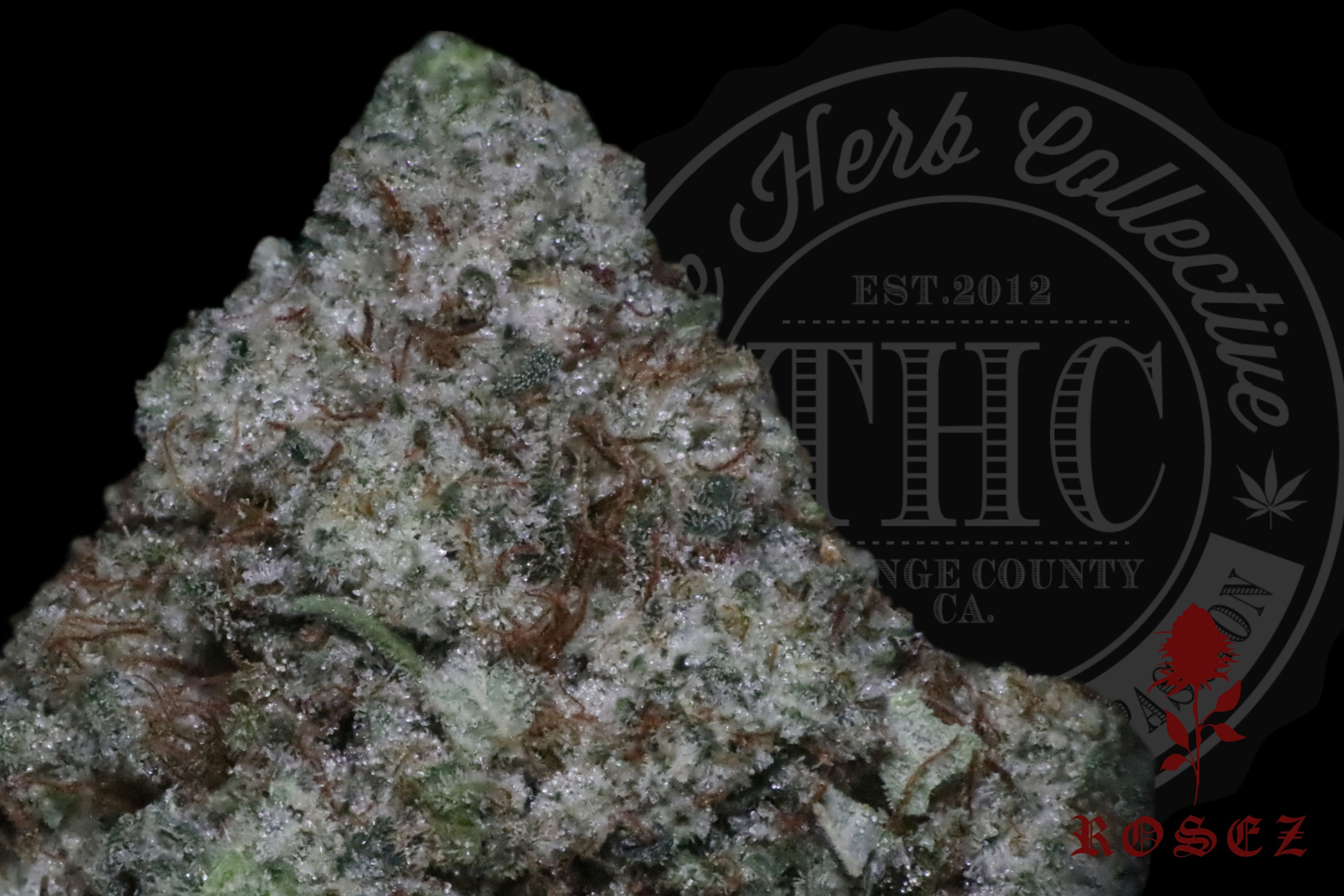 GLUECIFER 27.6% | RESERVE | ROSEZ CO.