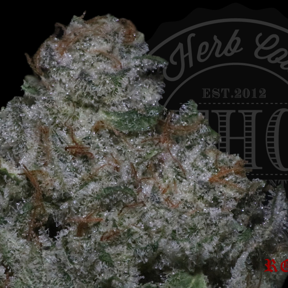 White Fire Cookies 27.4%