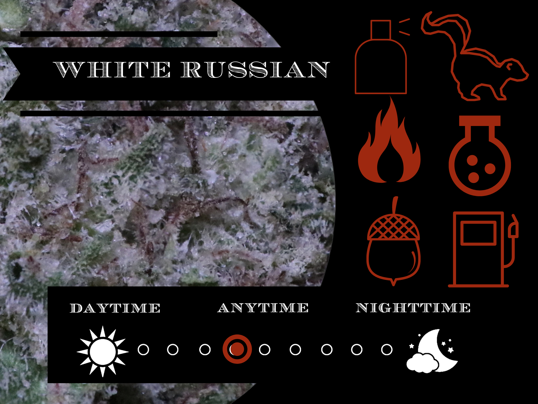 White Russian 27.2% view 2