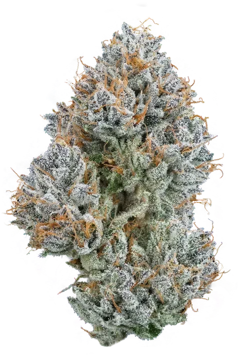 Kush Mountains 32.6% — 3.5 Grams view 2