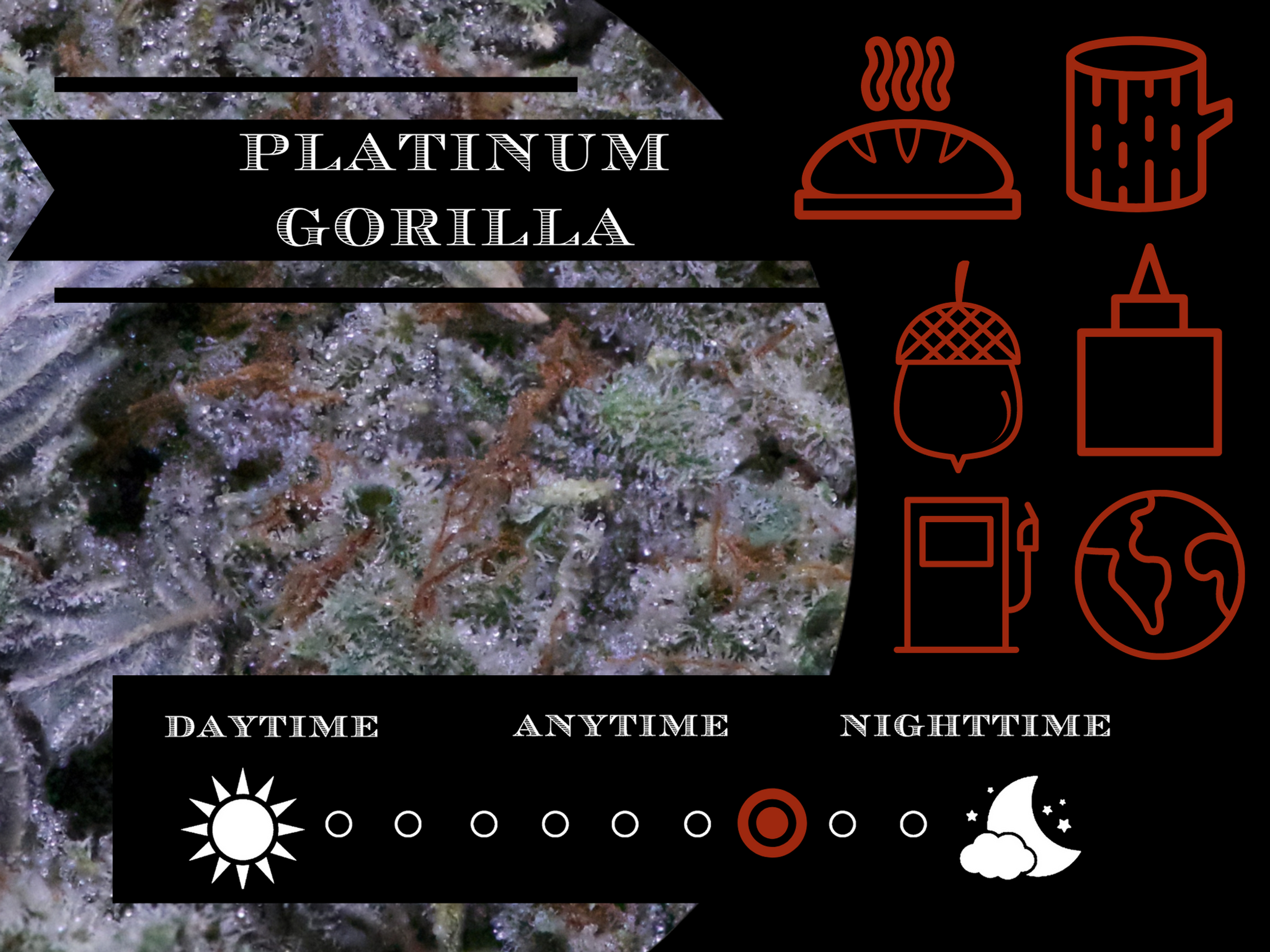 Platinum Gorilla 28.2% view 2