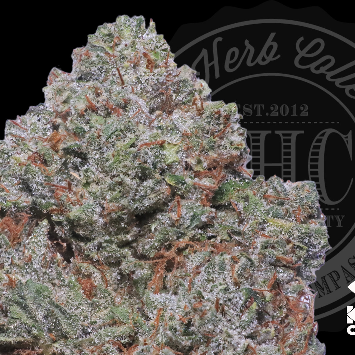 Dolla $ign OG 32.6%