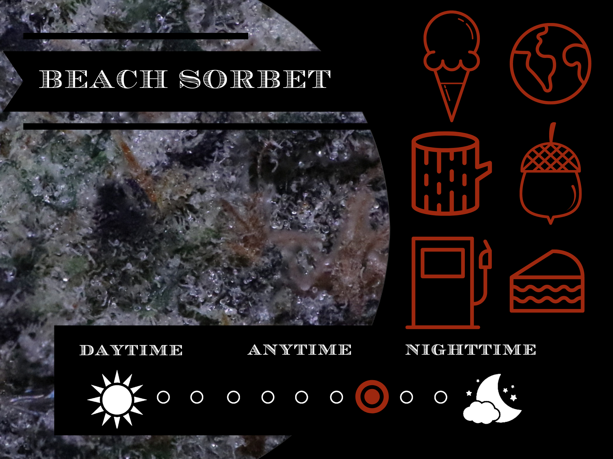 Beach Sorbet 27.4% view 2