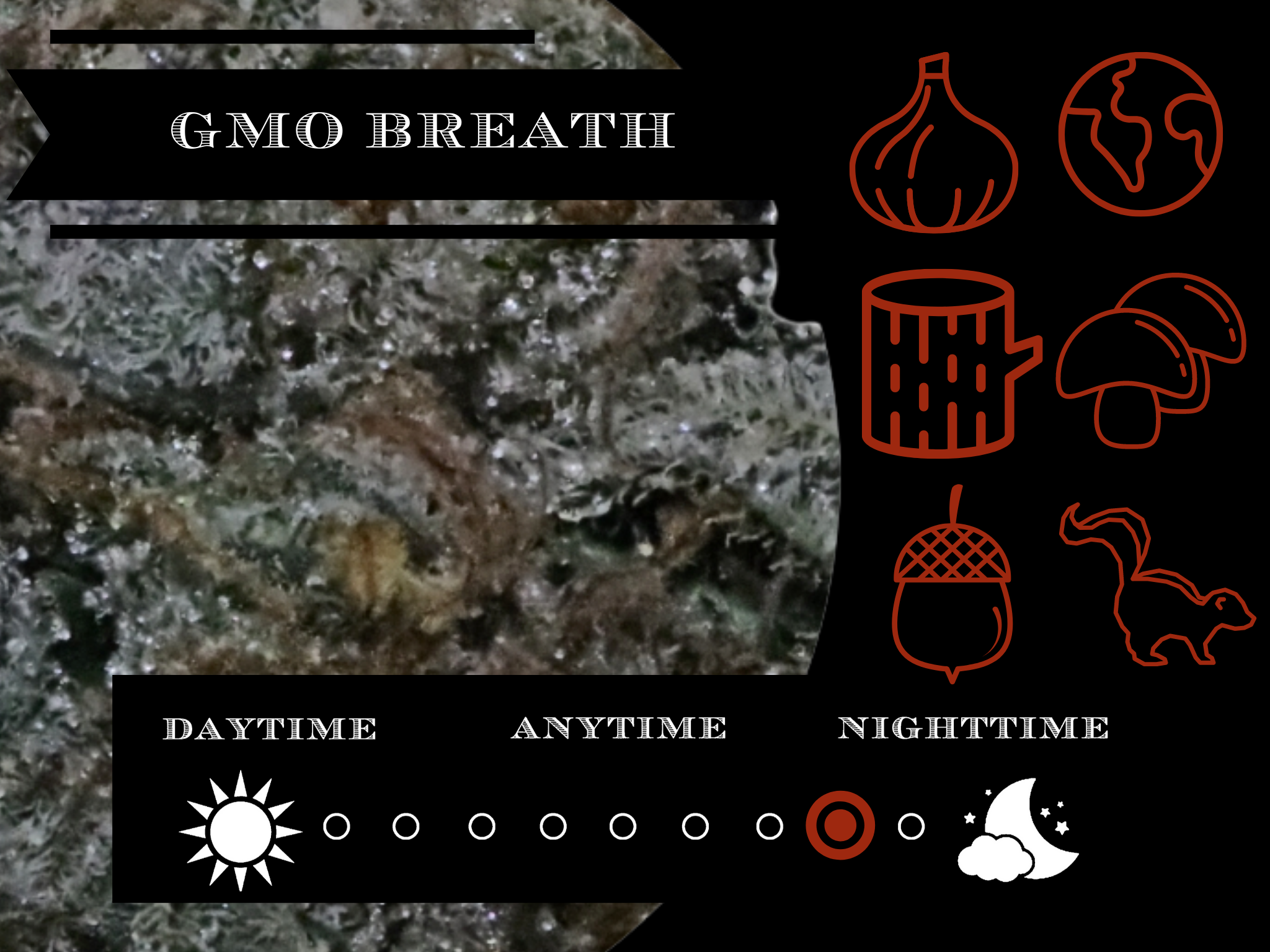 GMO Breath 26.4% view 2