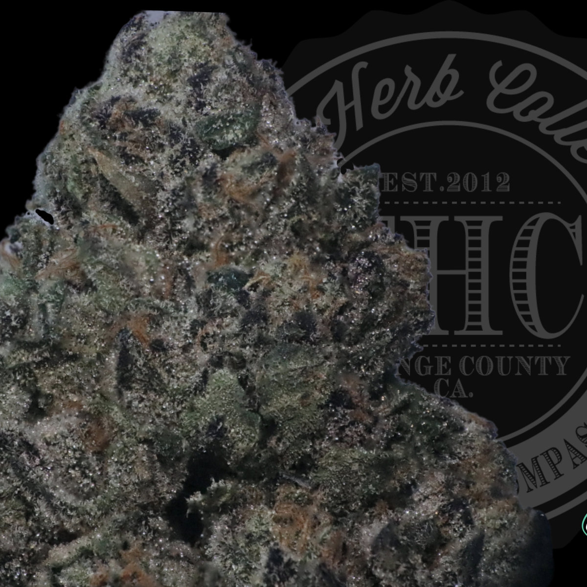 Jet Fuel Gelato 34.2%