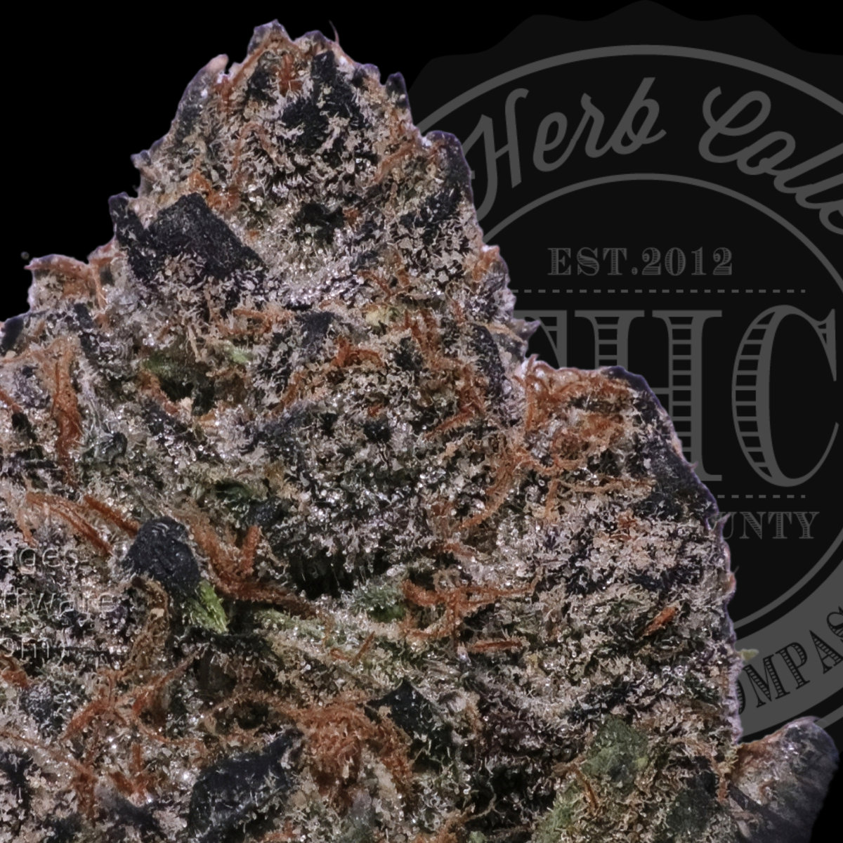 Sweet Apple Tartz 37.6%