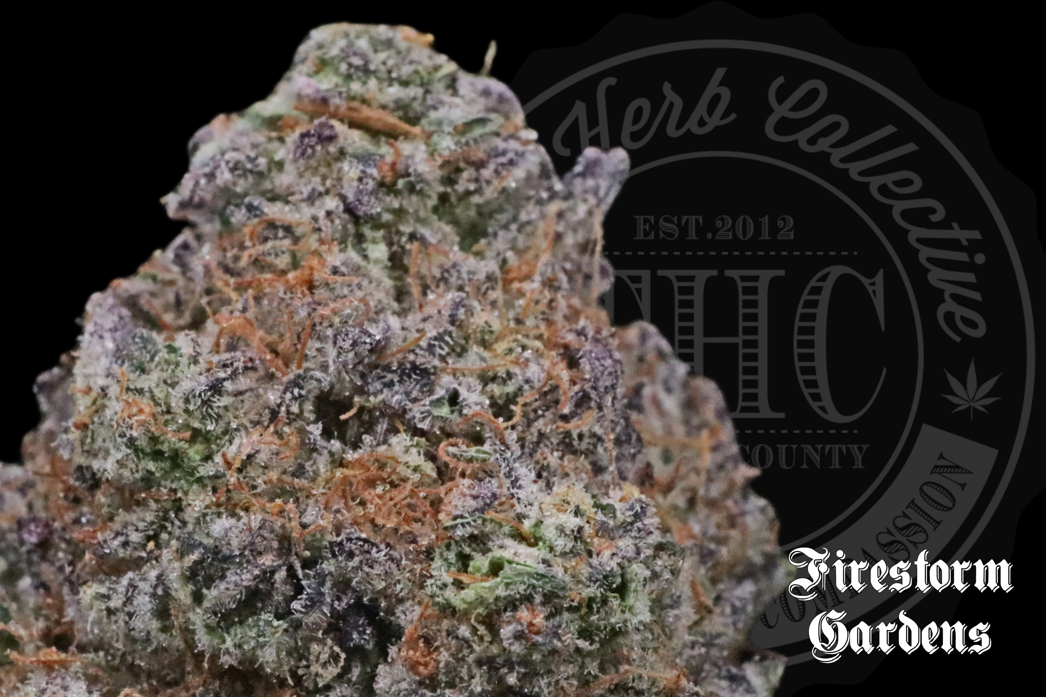 ANIMAL MINT COOKIES | RESERVE | FIRESTORM | 24.2%