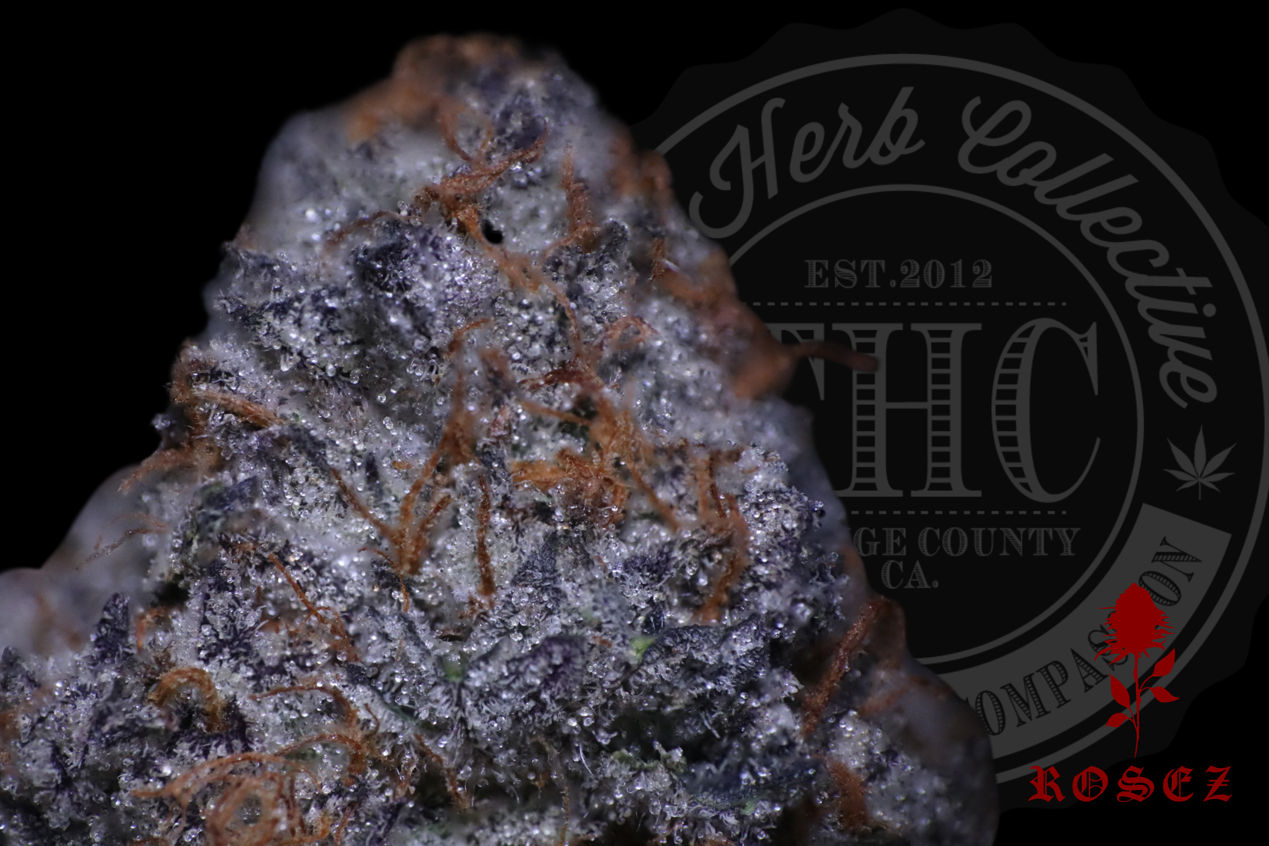 Chemdough 27.2%