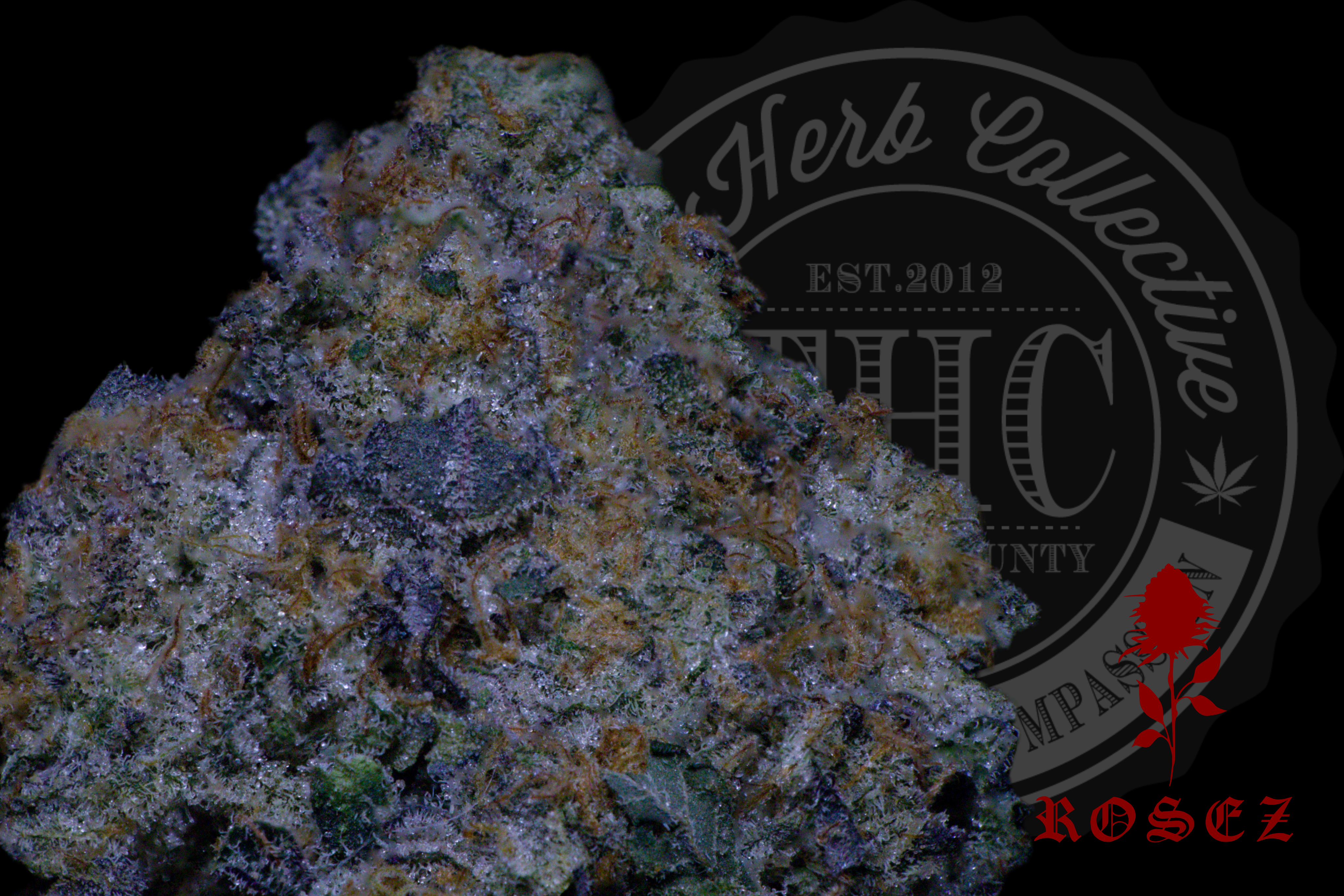 41 Ravens 31.6%