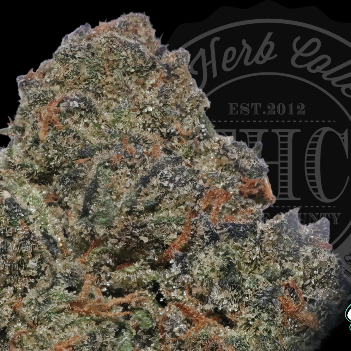 Nerds Xo 32.6%
