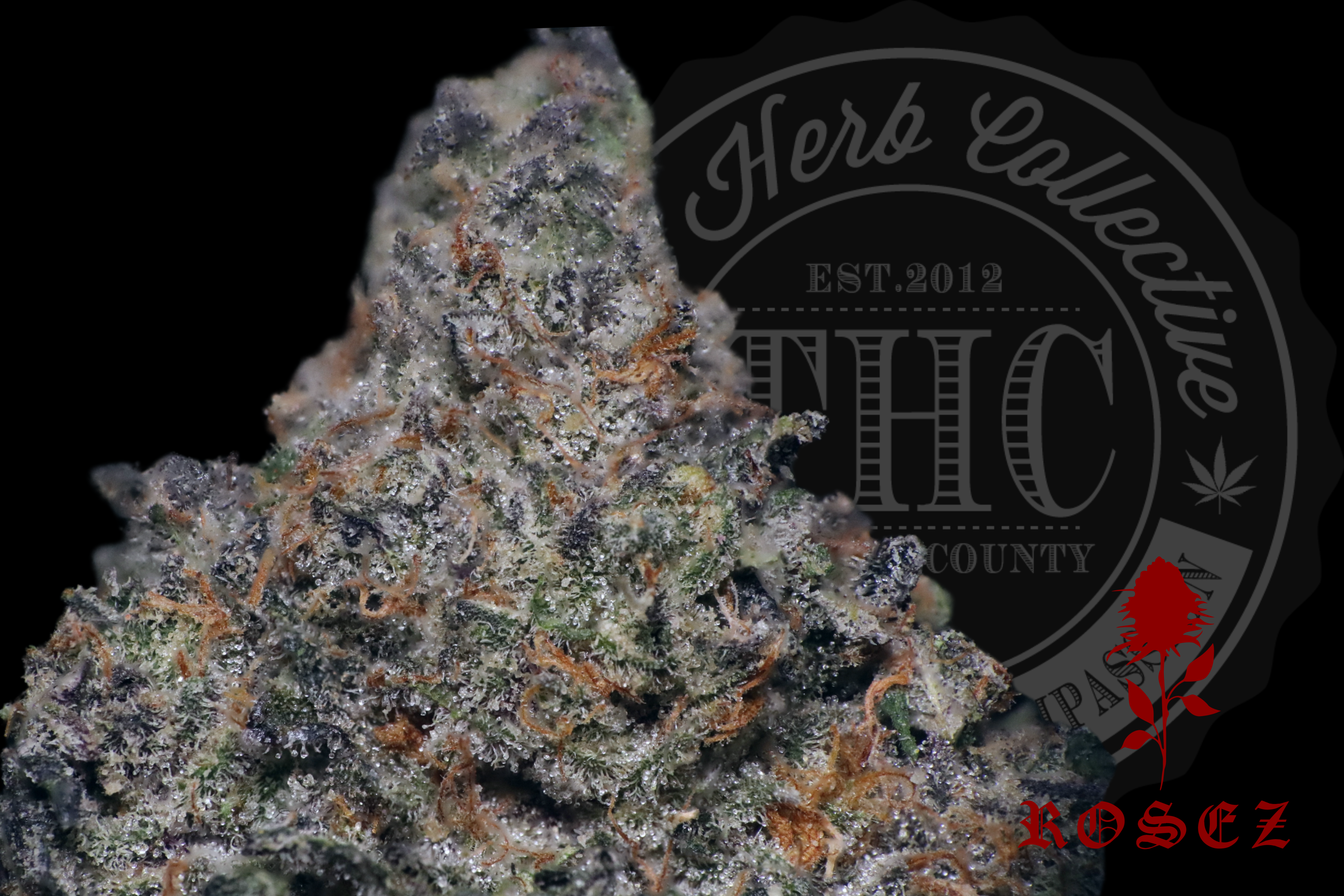 Sherbet Cookies 26.8%