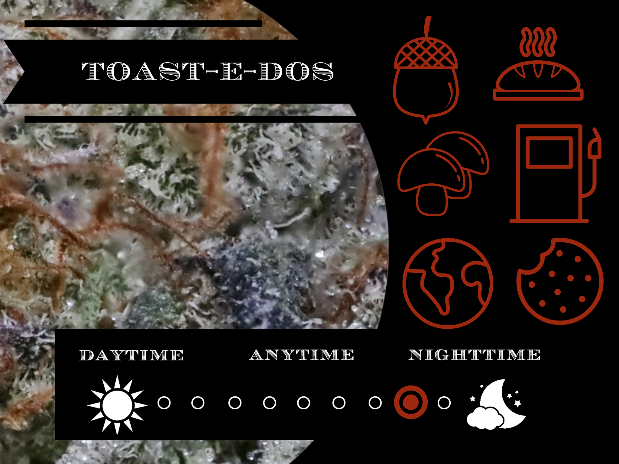Toastee-Dos 27.4% view 2