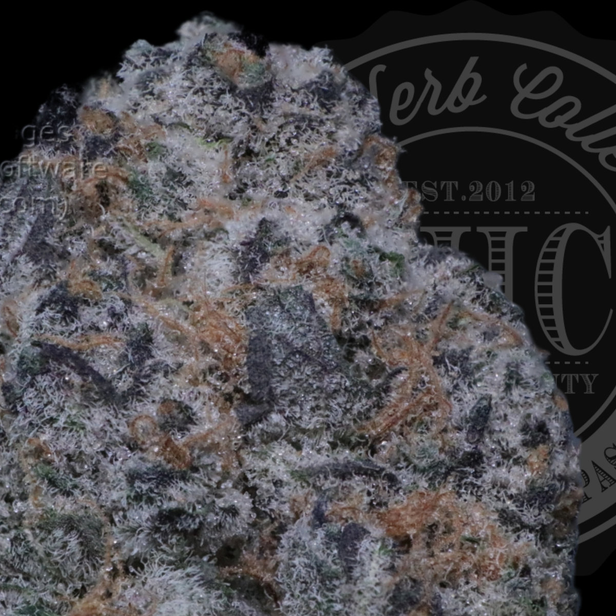 Superboof 37.9 %
