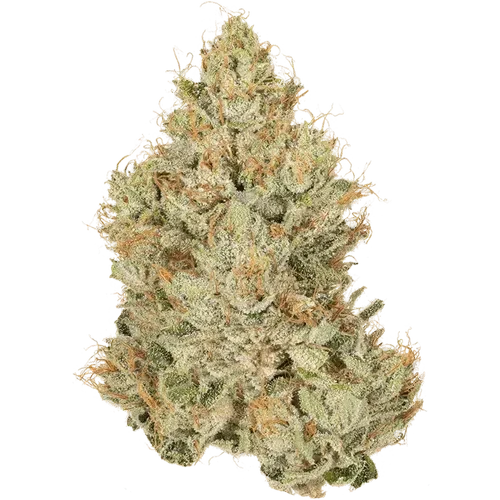Red Eye OG 24.7% — 3.5 Grams view 2