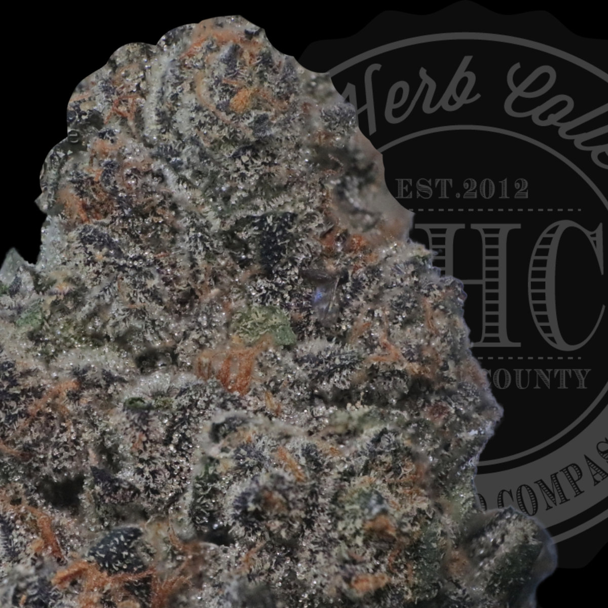 Indoor Top Shelf — Backpack Boyz