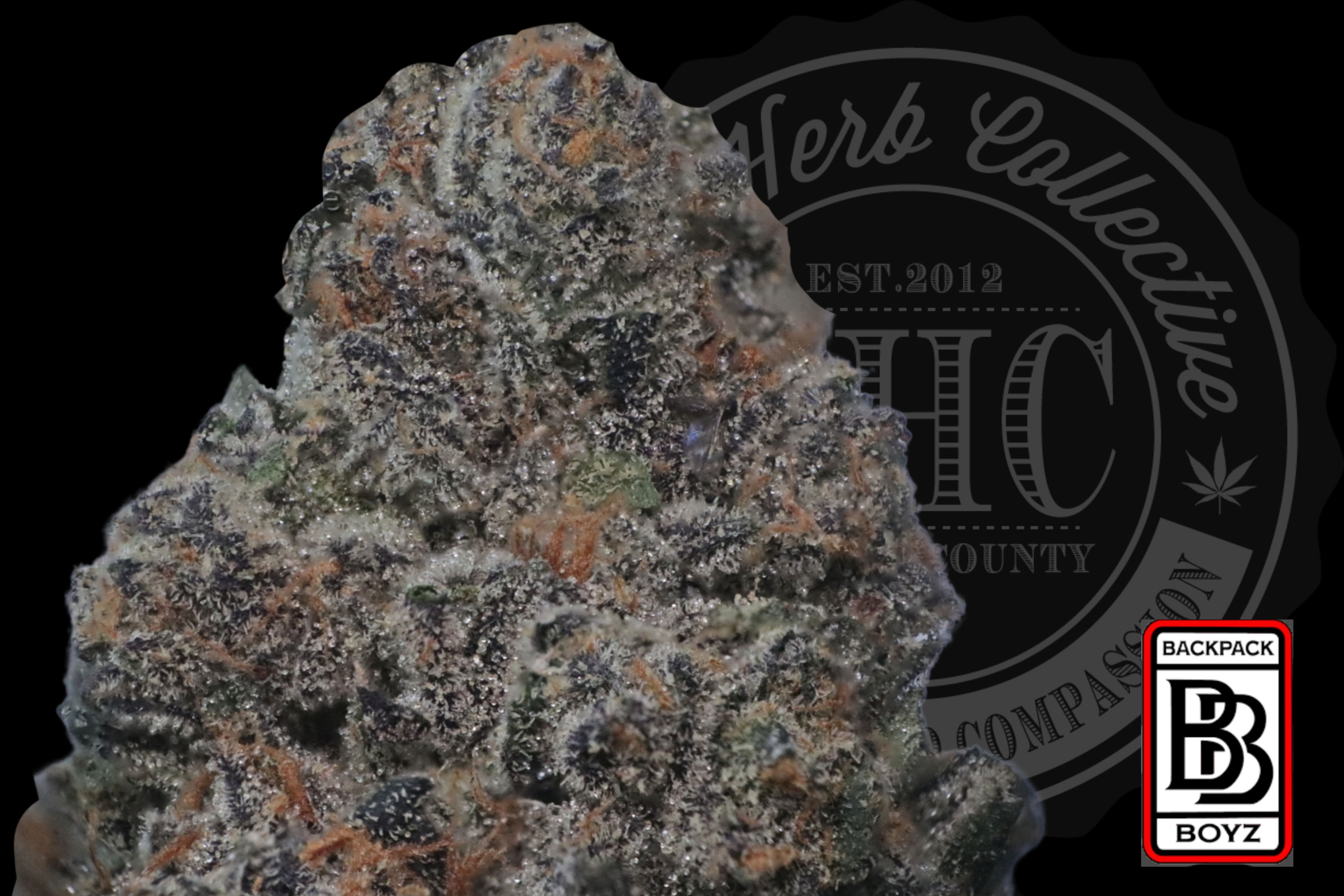 BLUE RIPZ 34.2% | INDOOR TOP SHELF | BACKPACK BOYZ