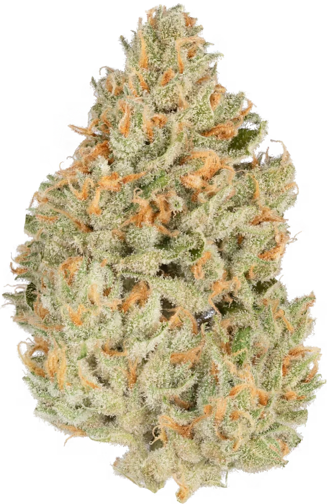 Green Crack 26.59% — 3.5 Grams view 2