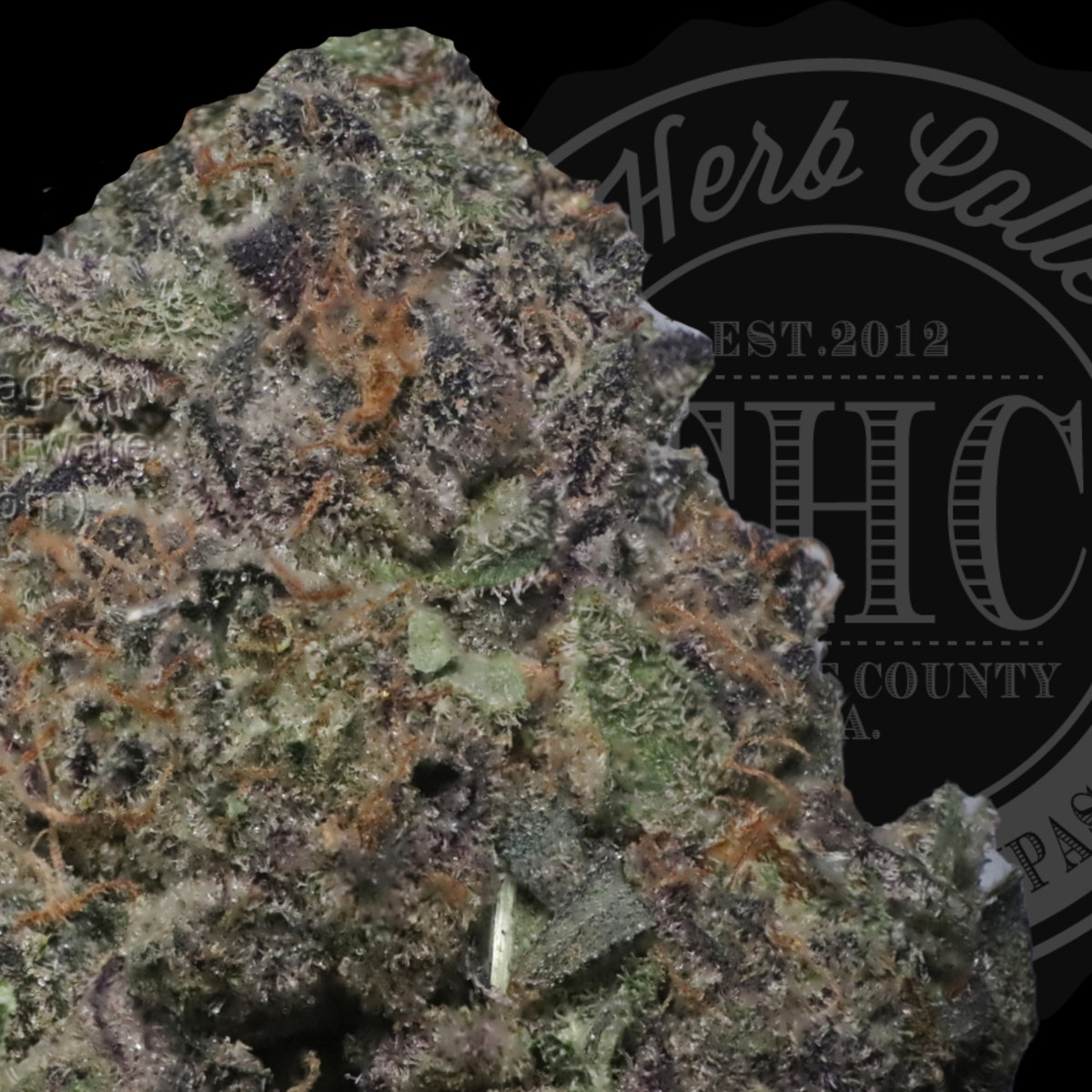 Jealousy 30.2%