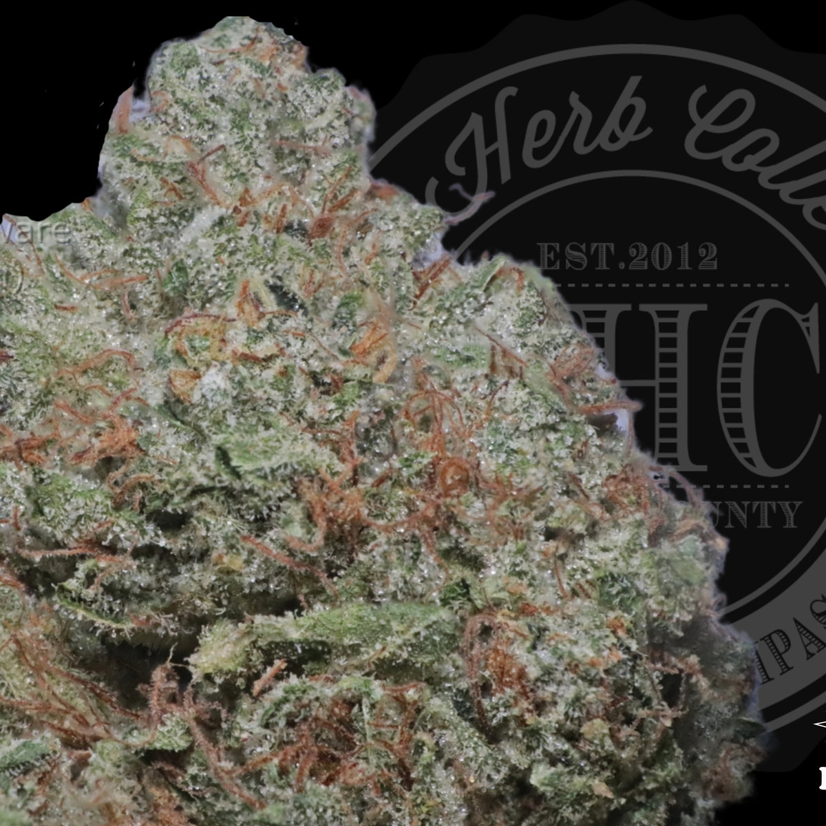 Hope OG 29.4%