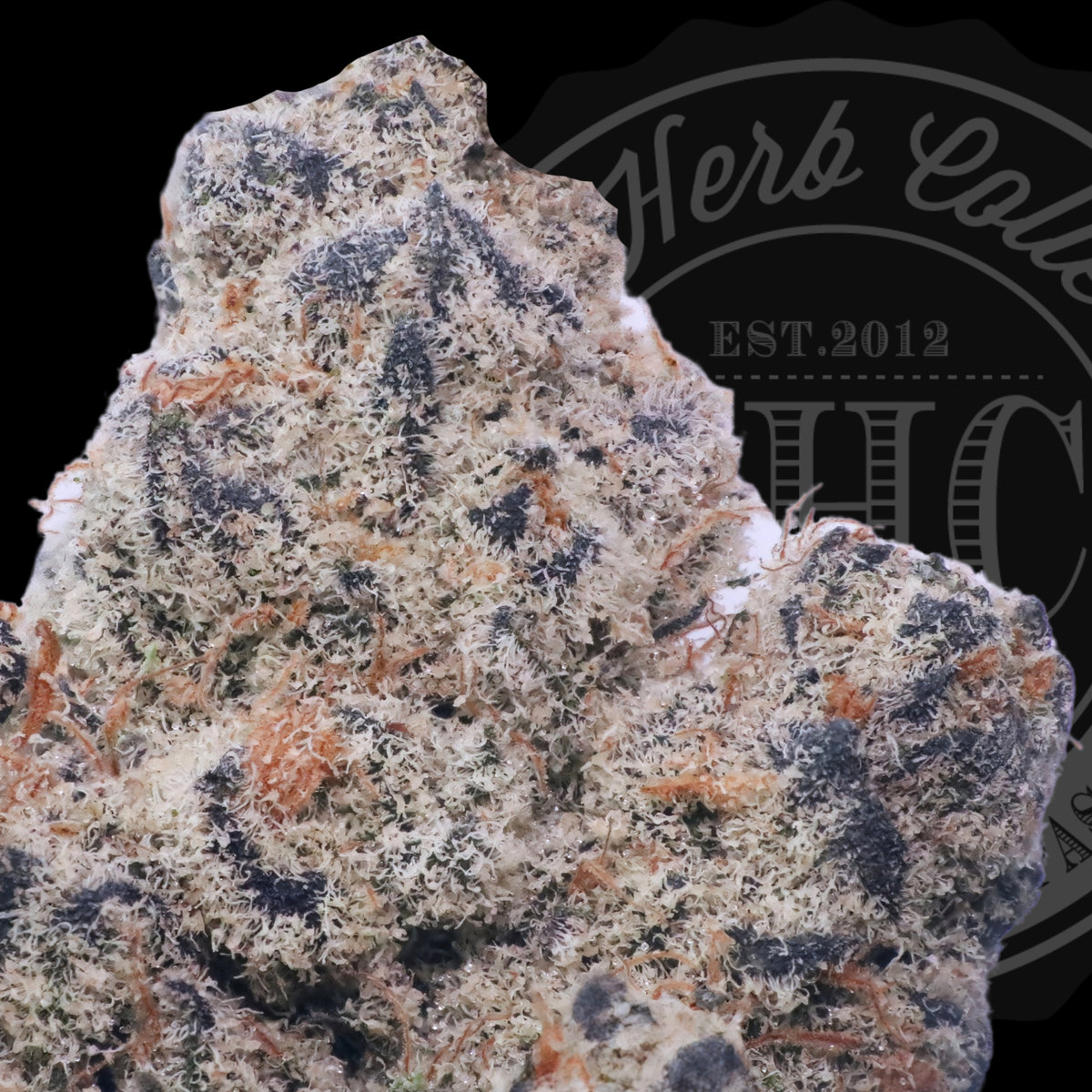 Grandfather Crack 35.6%