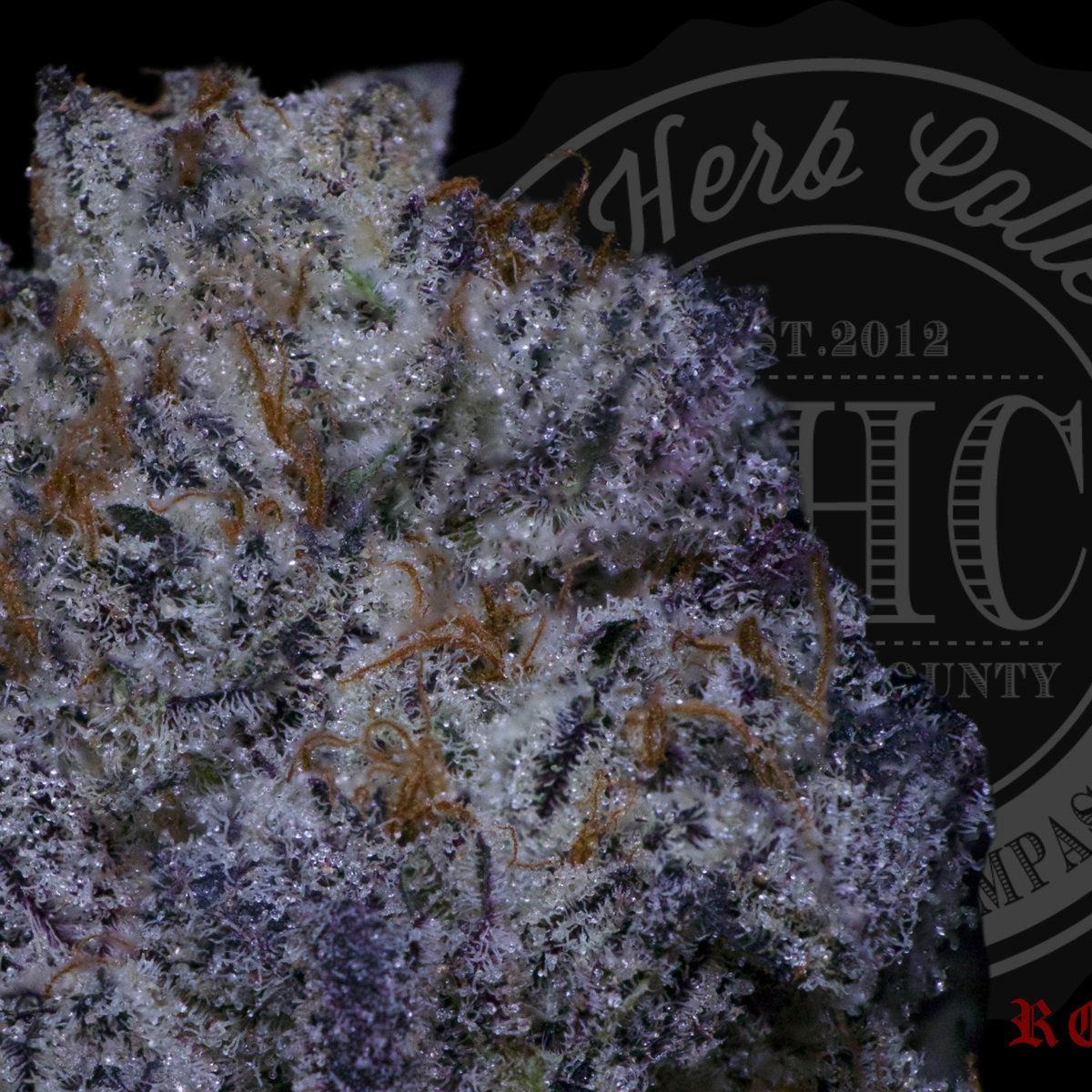 Black Marshmallow 32.2%
