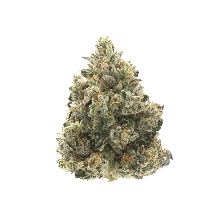 Donny Burger 24.9% — 3.5 Grams