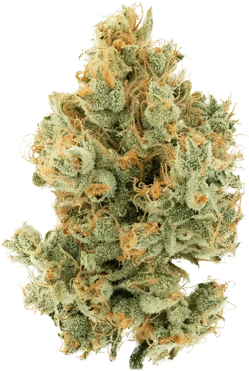 Tropical Lemonade 26.96% — 3.5 Gram view 2